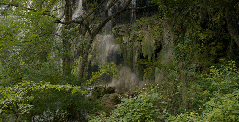 Gorman Falls Spring 4K Screensaver