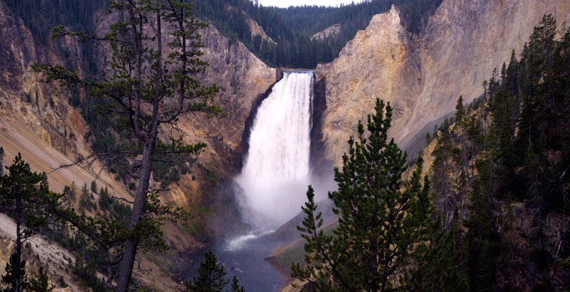 Lower Falls, Yellowstone National Park 4K