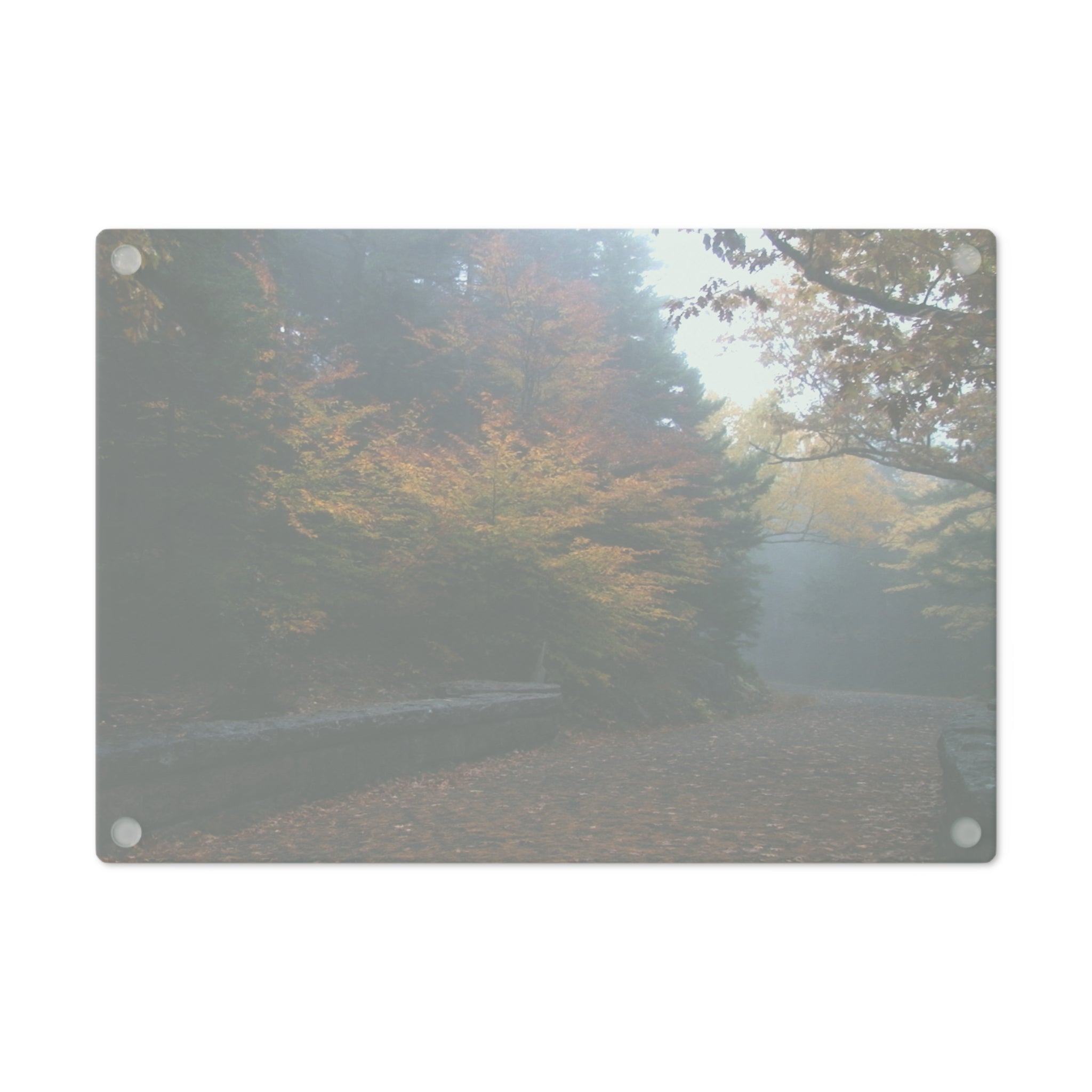 Tempered Glass Cutting Board - Leaf Peeping Carriage Roads Acadia - My Blu Horizon
