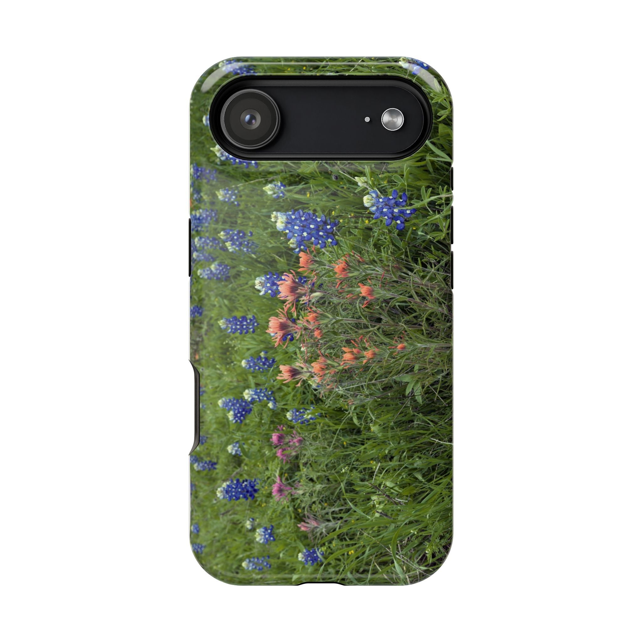 Texas Bluebonnets and Indian Paintbrushes