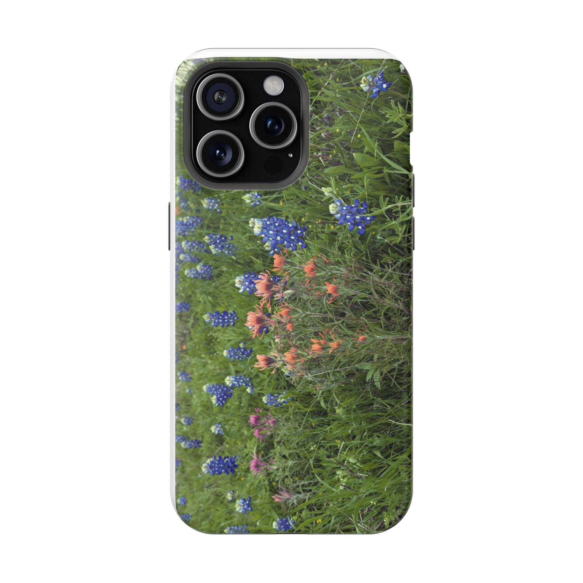 Texas Bluebonnets and Indian Paintbrushes
