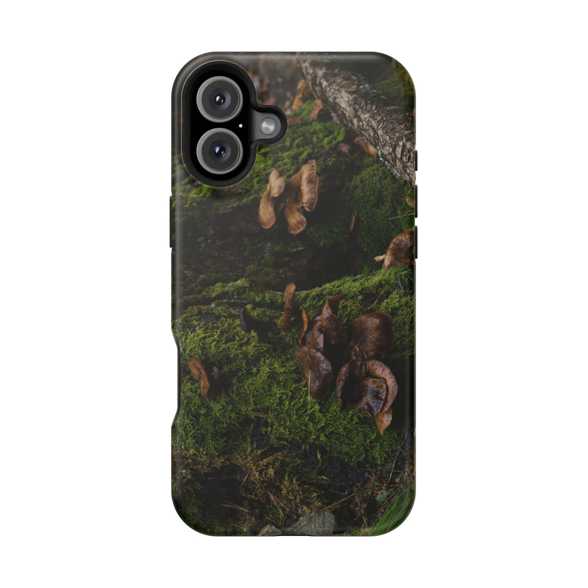 iPhone MagSafe Case | Acadia Forest Fungi | Acadia National Park | My Blu Horizon