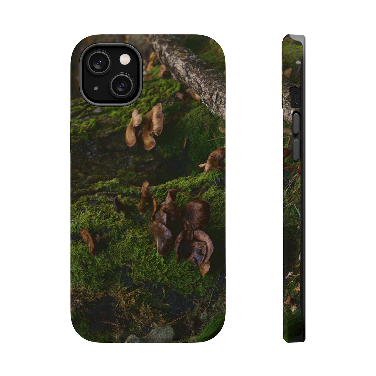 iPhone MagSafe Case | Acadia Forest Fungi | Acadia National Park | My Blu Horizon