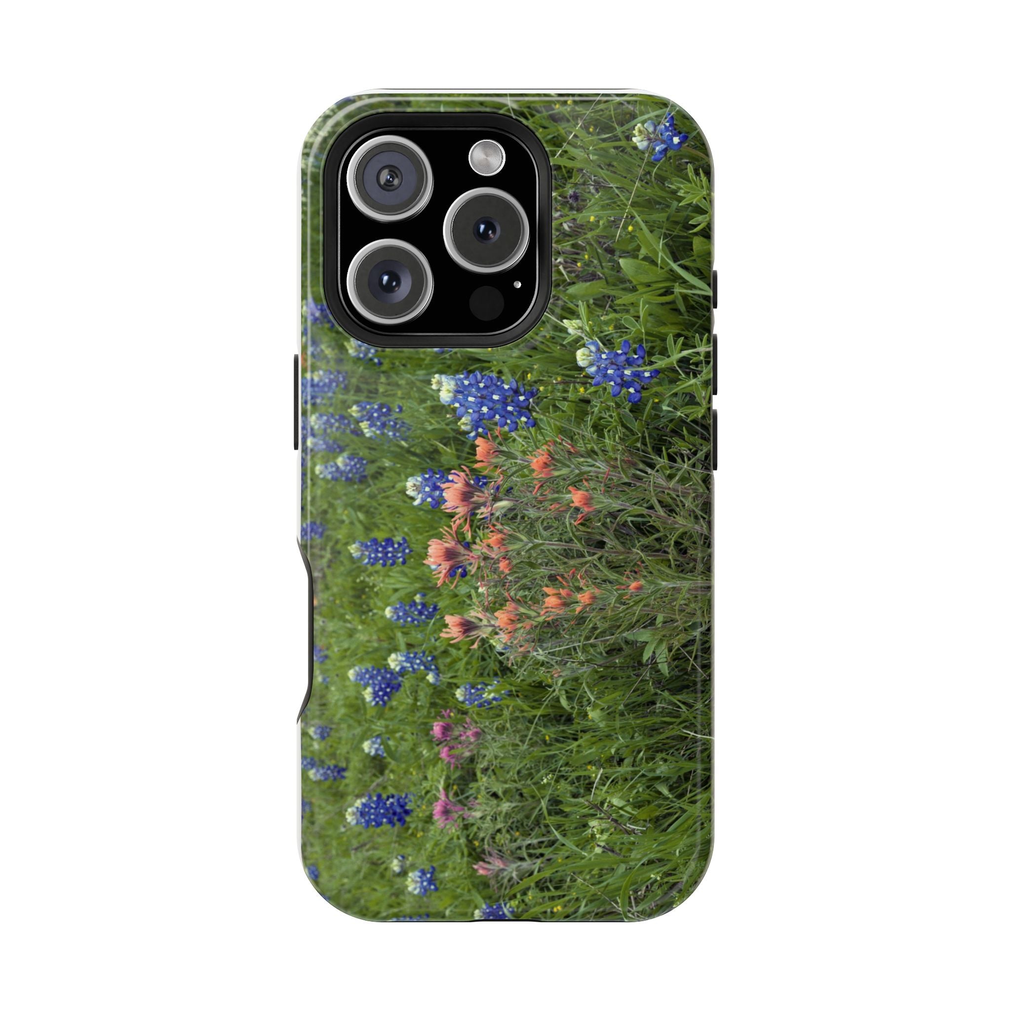Texas Bluebonnets and Indian Paintbrushes