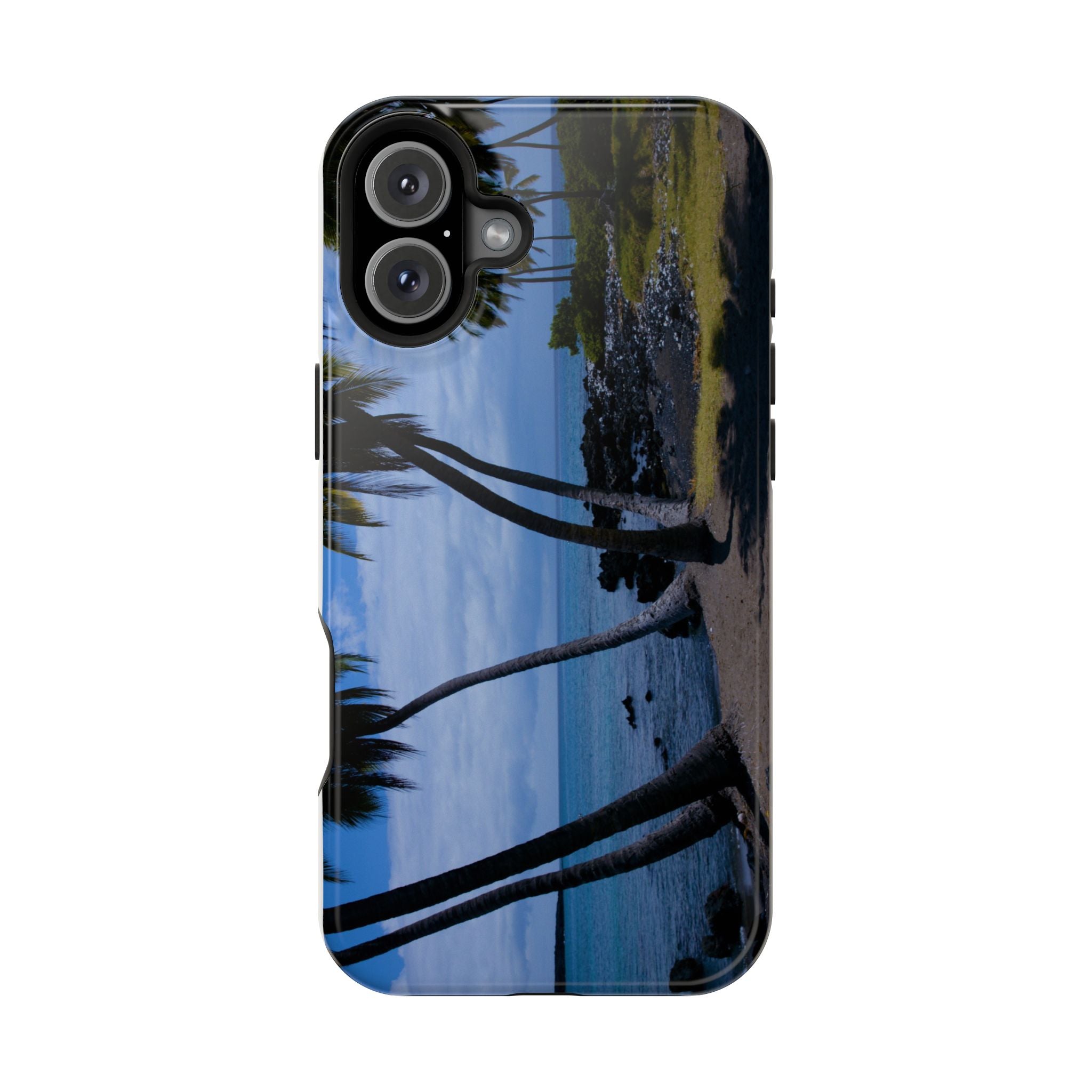 Hawaiian Beach and Palm Trees