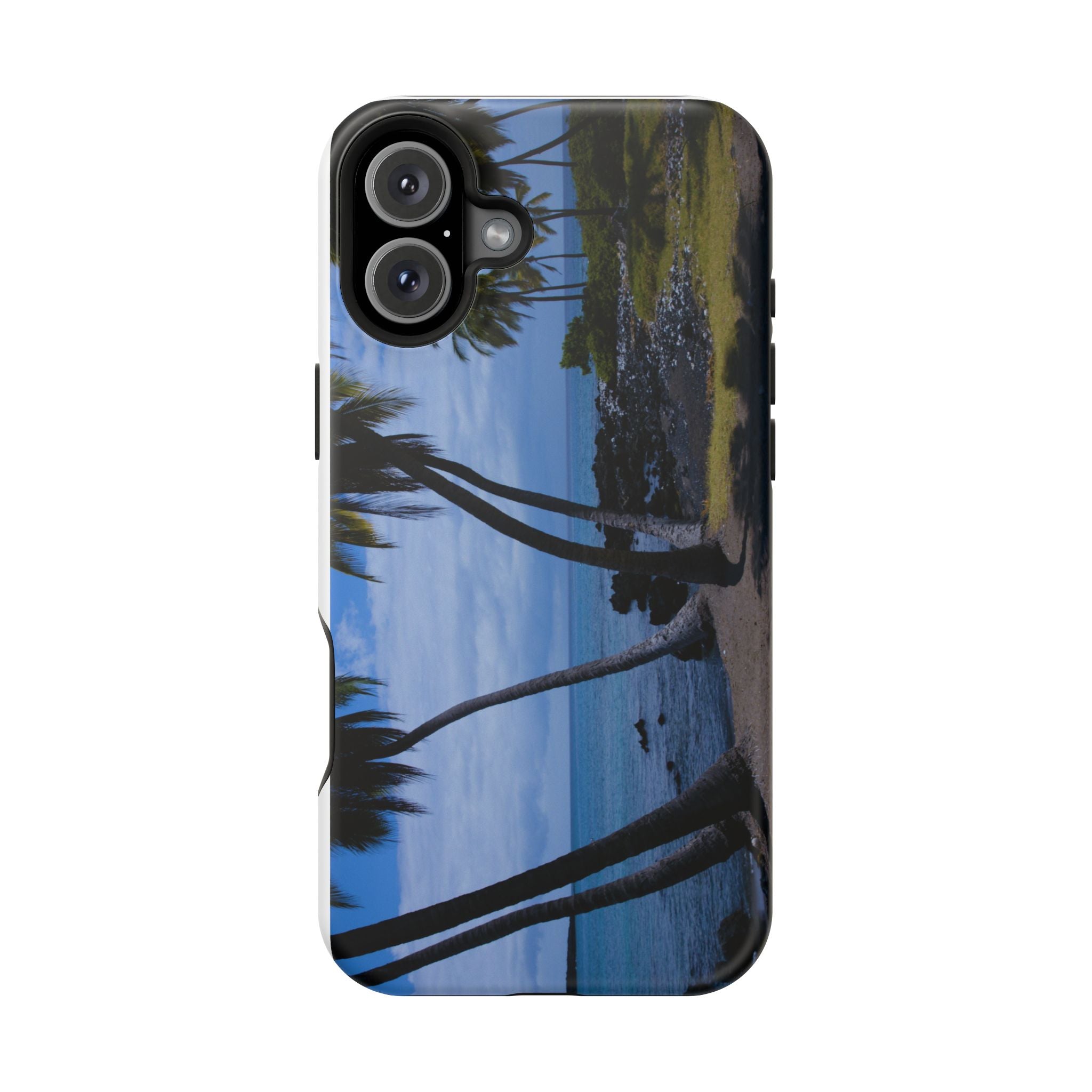 Hawaiian Beach and Palm Trees