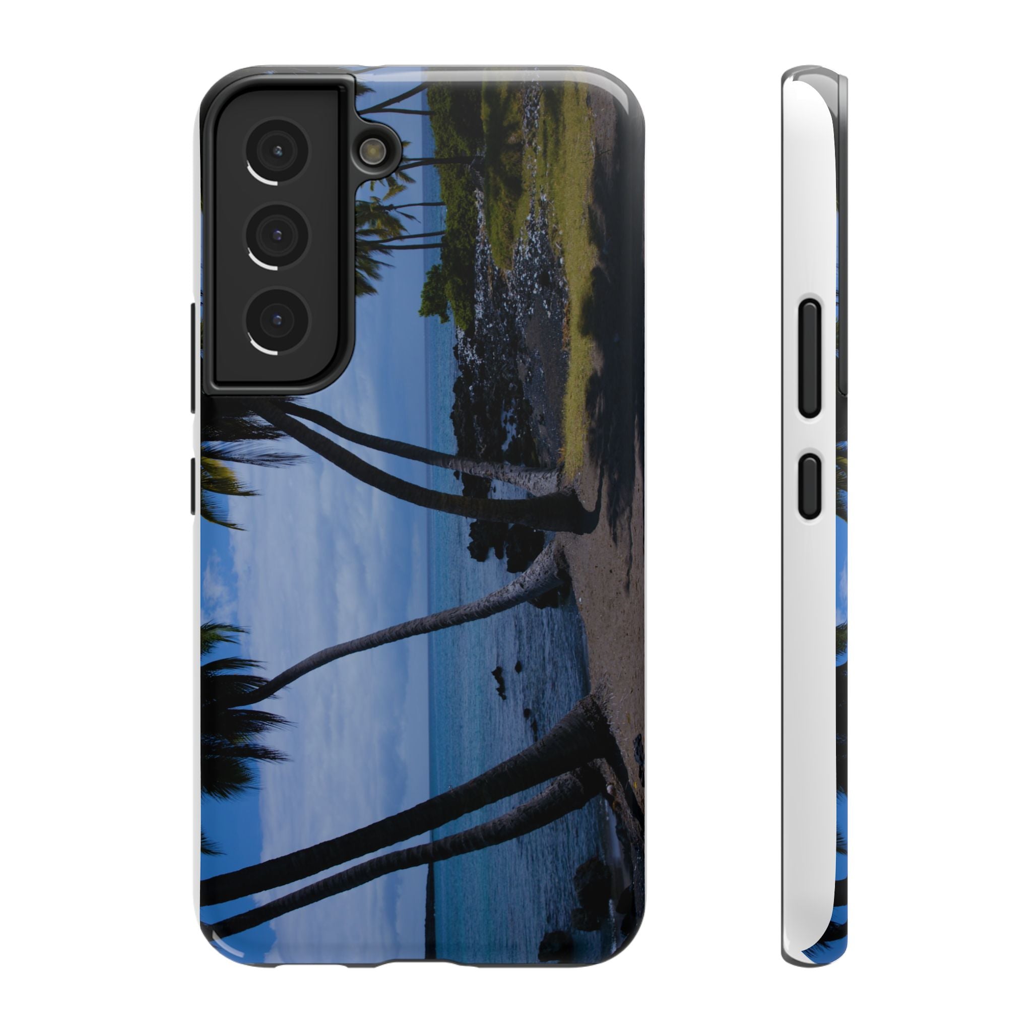 Hawaiian Beach and Palm Trees