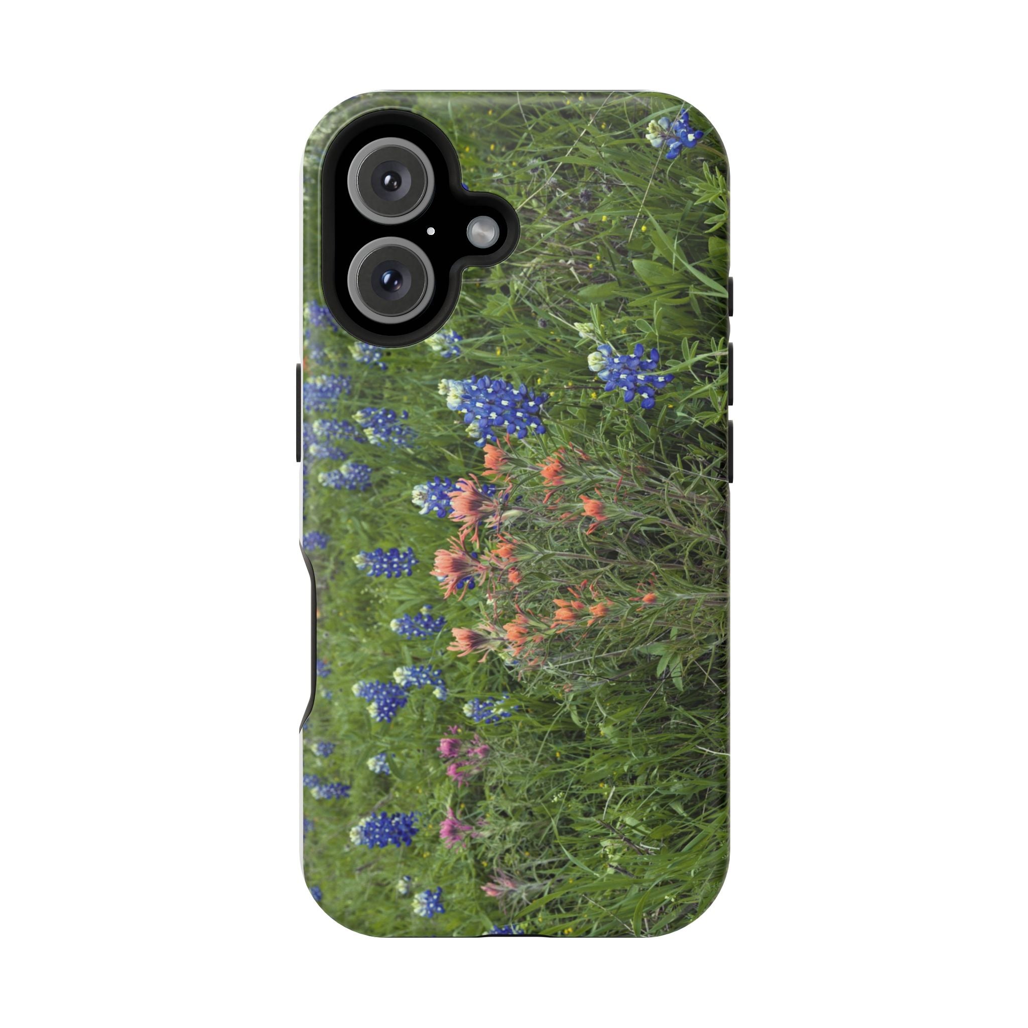 Texas Bluebonnets and Indian Paintbrushes