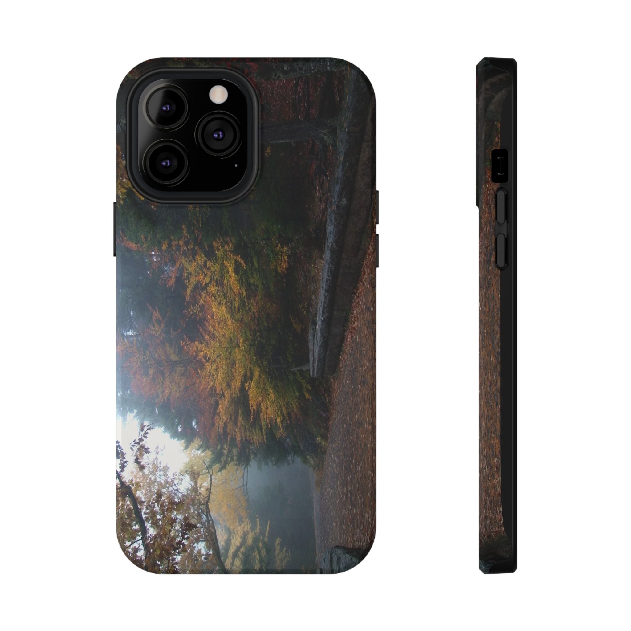 Phone Case | Waterfall Bridge Carriage Road View | Acadia National Park | My Blu Horizon