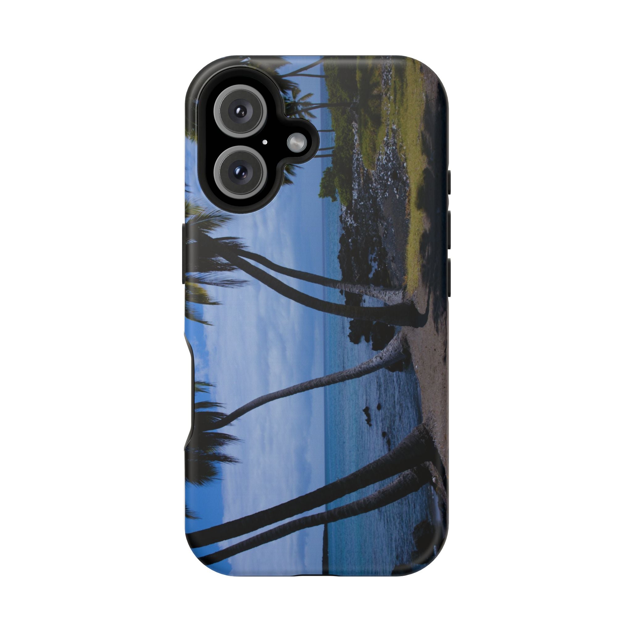 Hawaiian Beach and Palm Trees