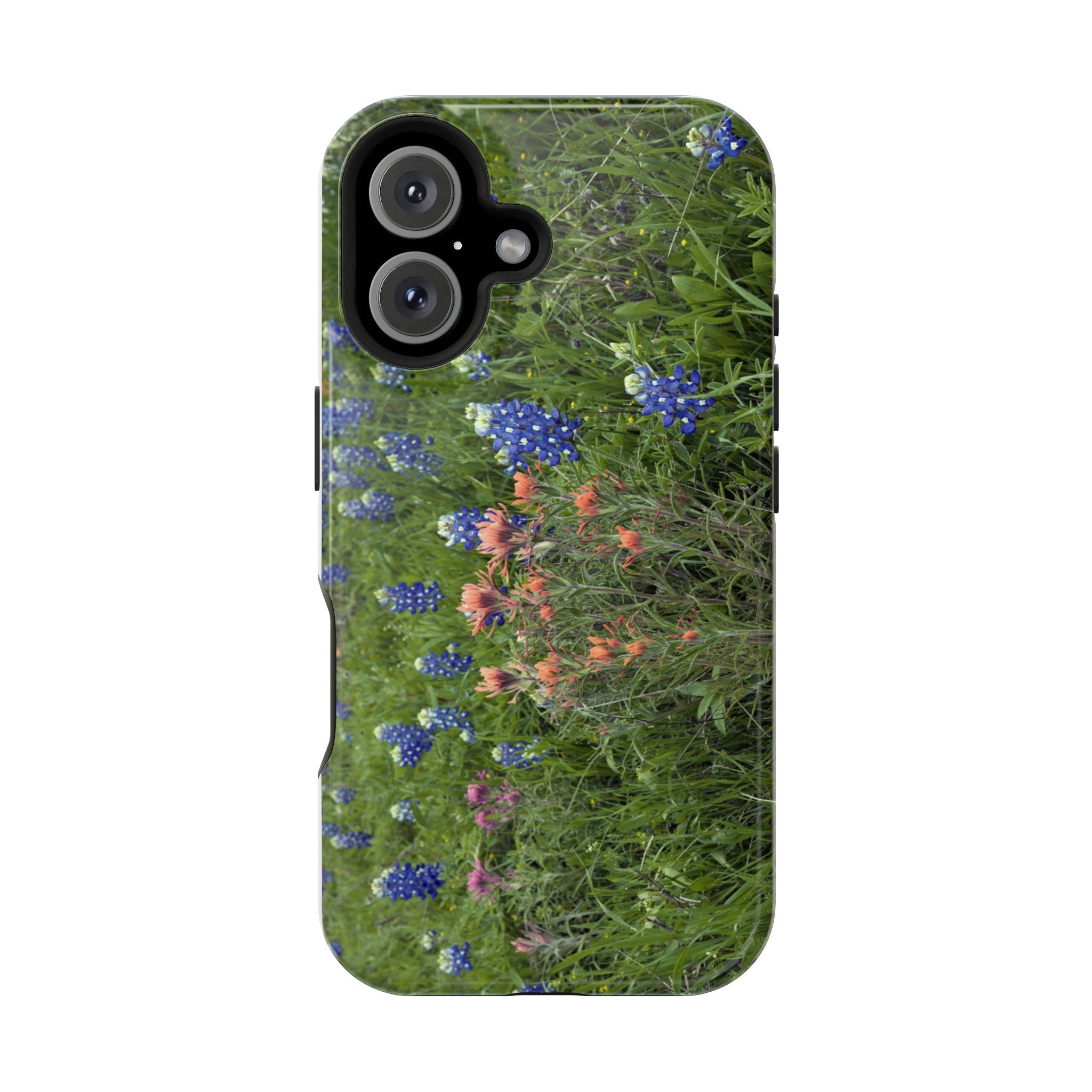 Texas Bluebonnets and Indian Paintbrushes
