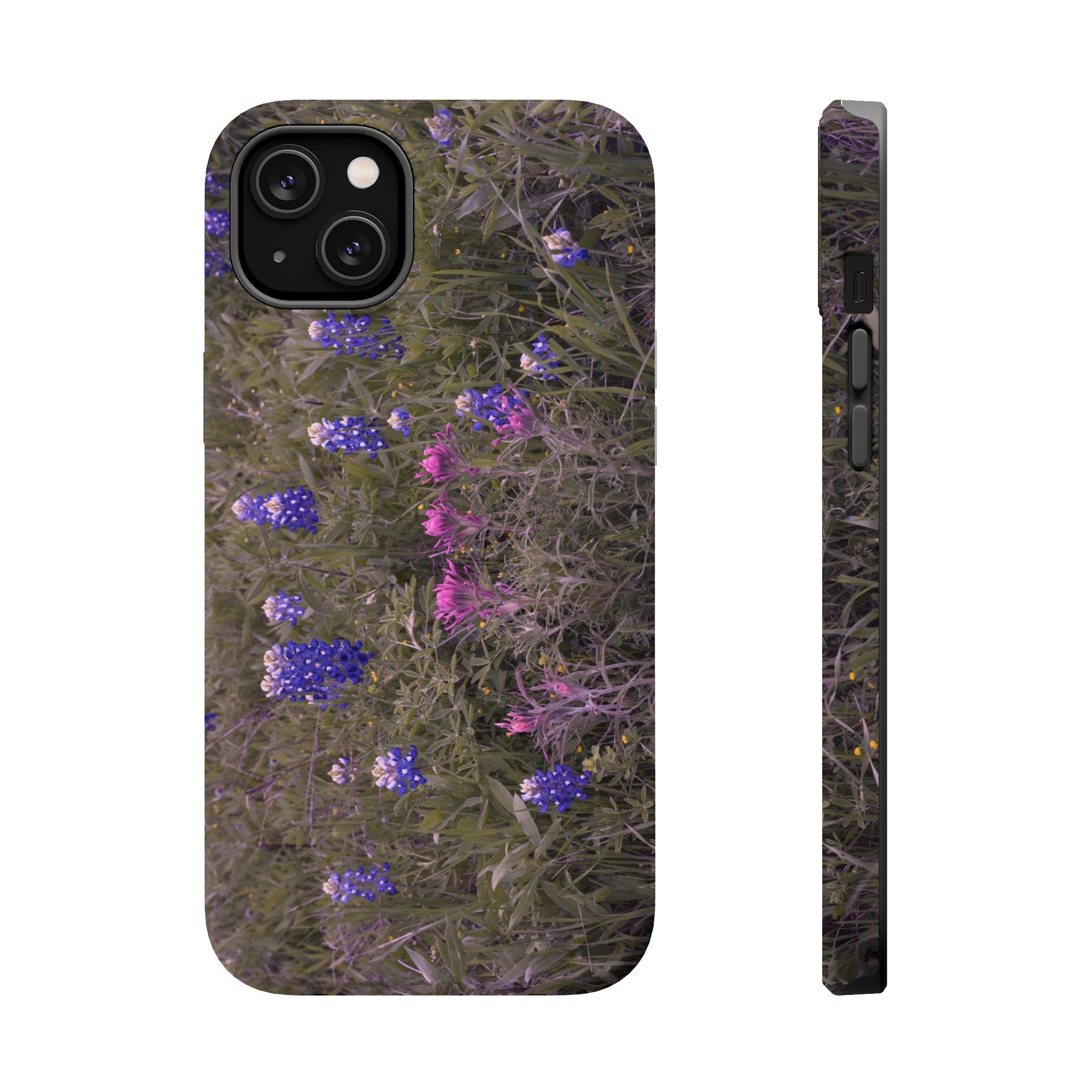 Texas Icons Bluebonnets and Paintbrushes