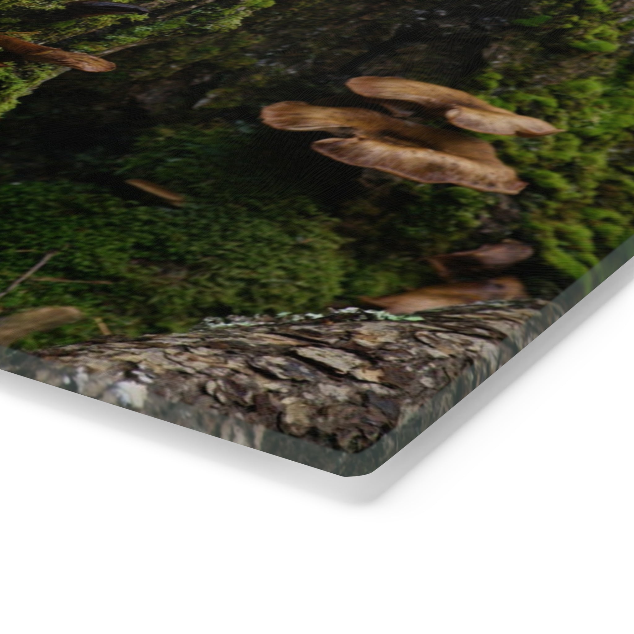 Tempered Glass Cutting Board - Acadia Flora, Acadia National Park - My Blu Horizon