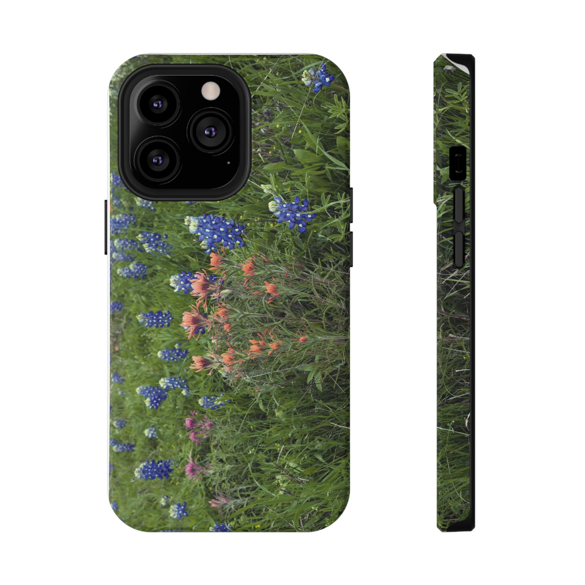 Texas Bluebonnets and Indian Paintbrushes