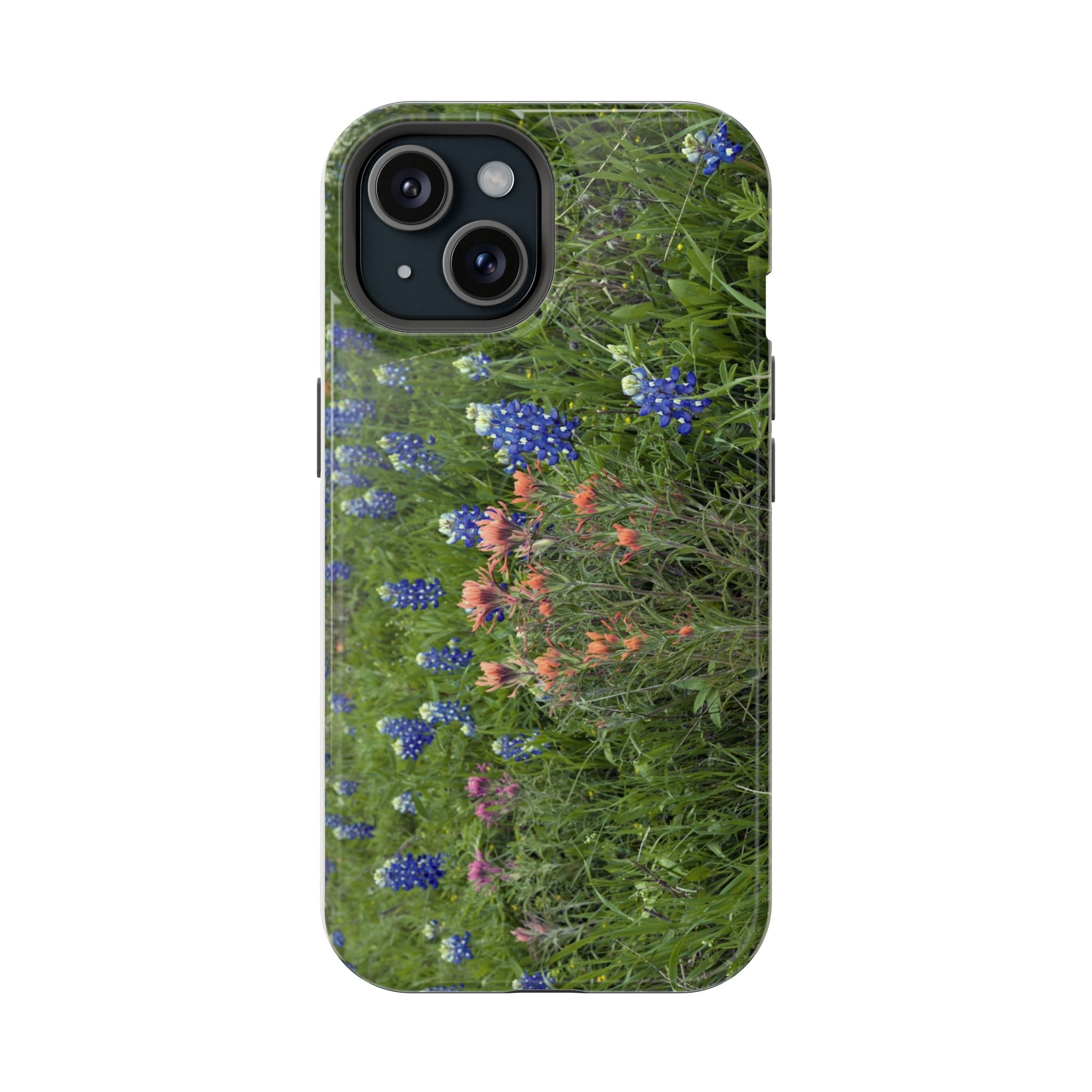 Texas Bluebonnets and Indian Paintbrushes