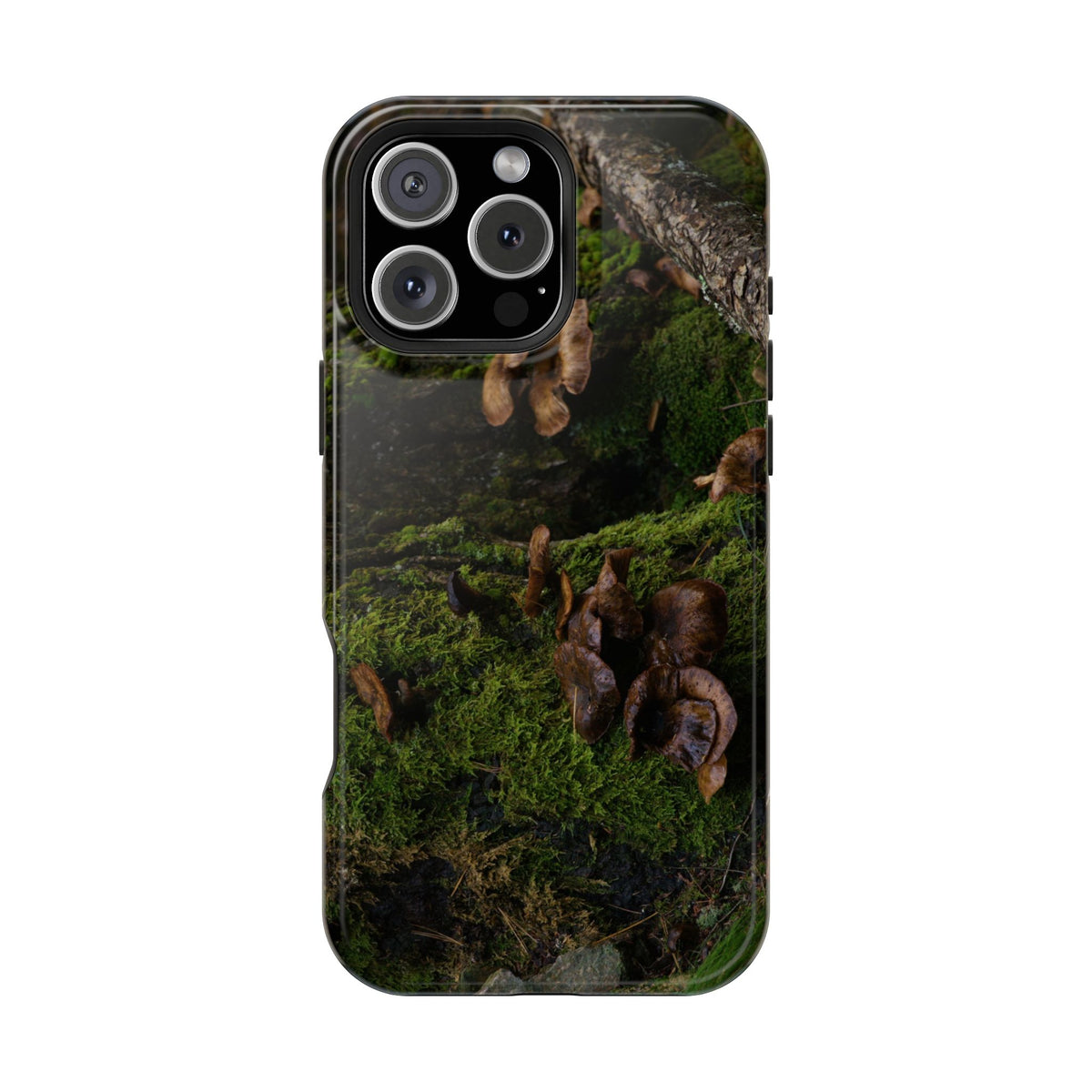 iPhone MagSafe Case | Acadia Forest Fungi | Acadia National Park | My Blu Horizon