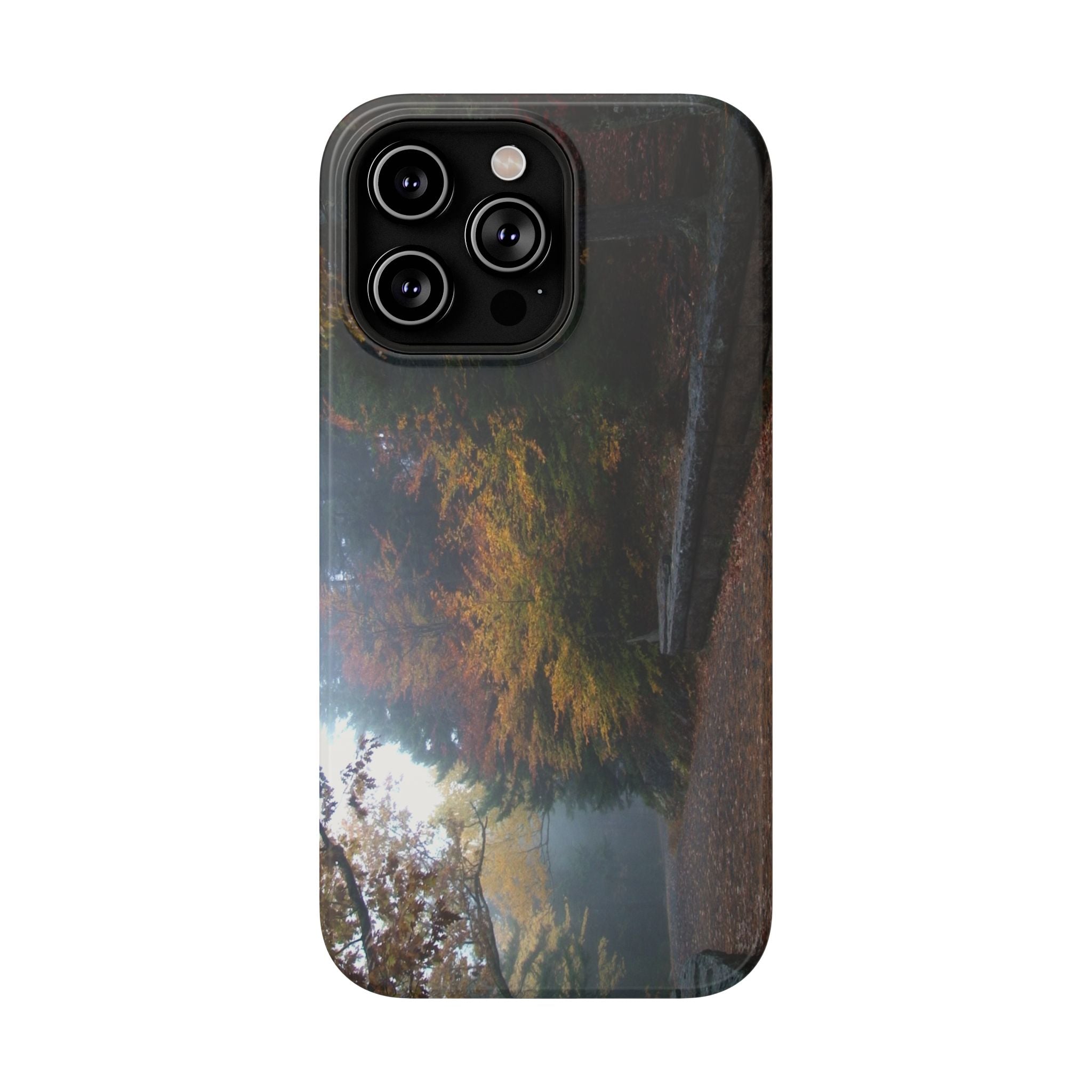 Phone Case | Waterfall Bridge Carriage Road View | Acadia National Park | My Blu Horizon