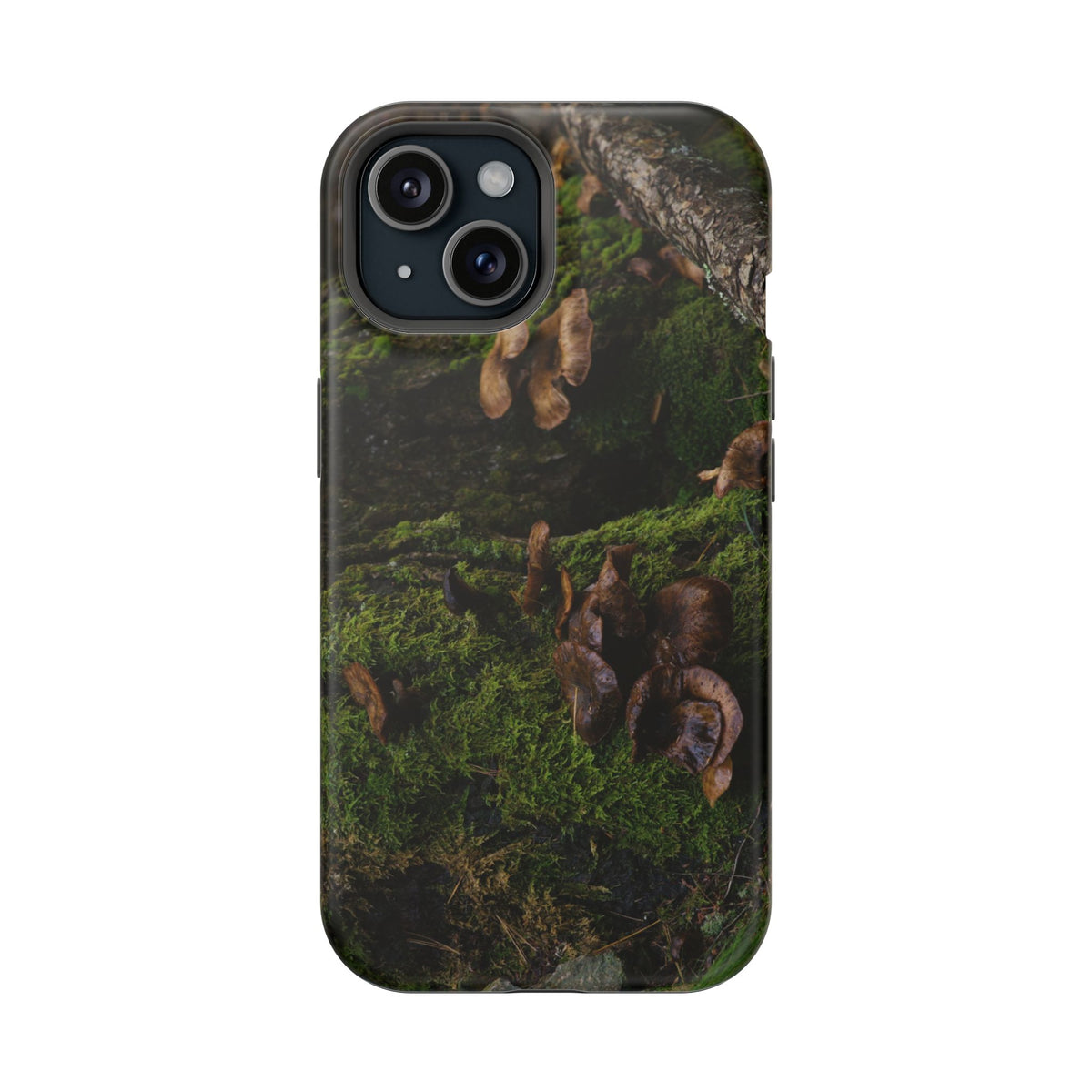iPhone MagSafe Case | Acadia Forest Fungi | Acadia National Park | My Blu Horizon