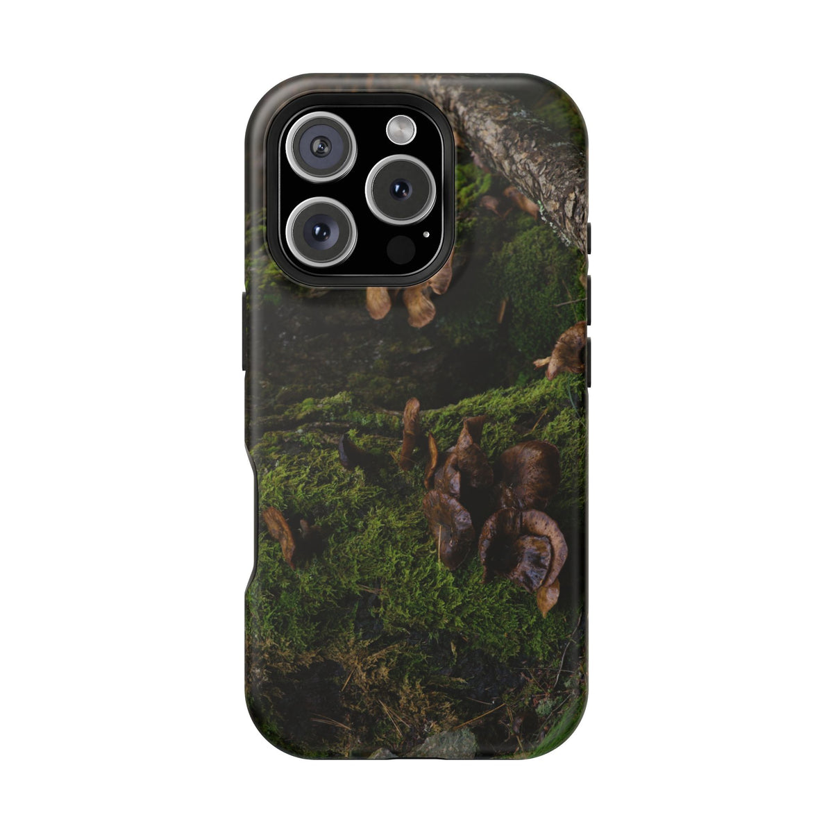 iPhone MagSafe Case | Acadia Forest Fungi | Acadia National Park | My Blu Horizon