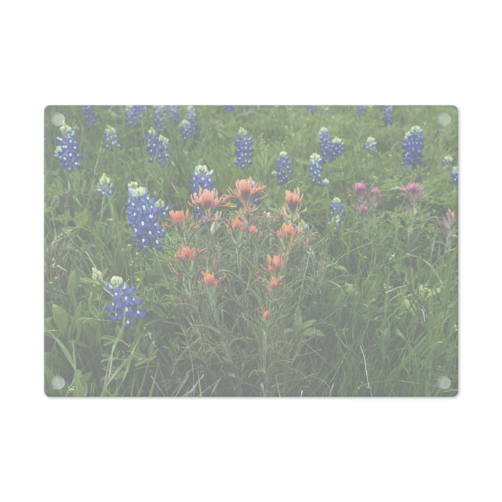 Tempered Glass Cutting Board - Texas Icons Bluebonnets and Paintbrushes - My Blu Horizon