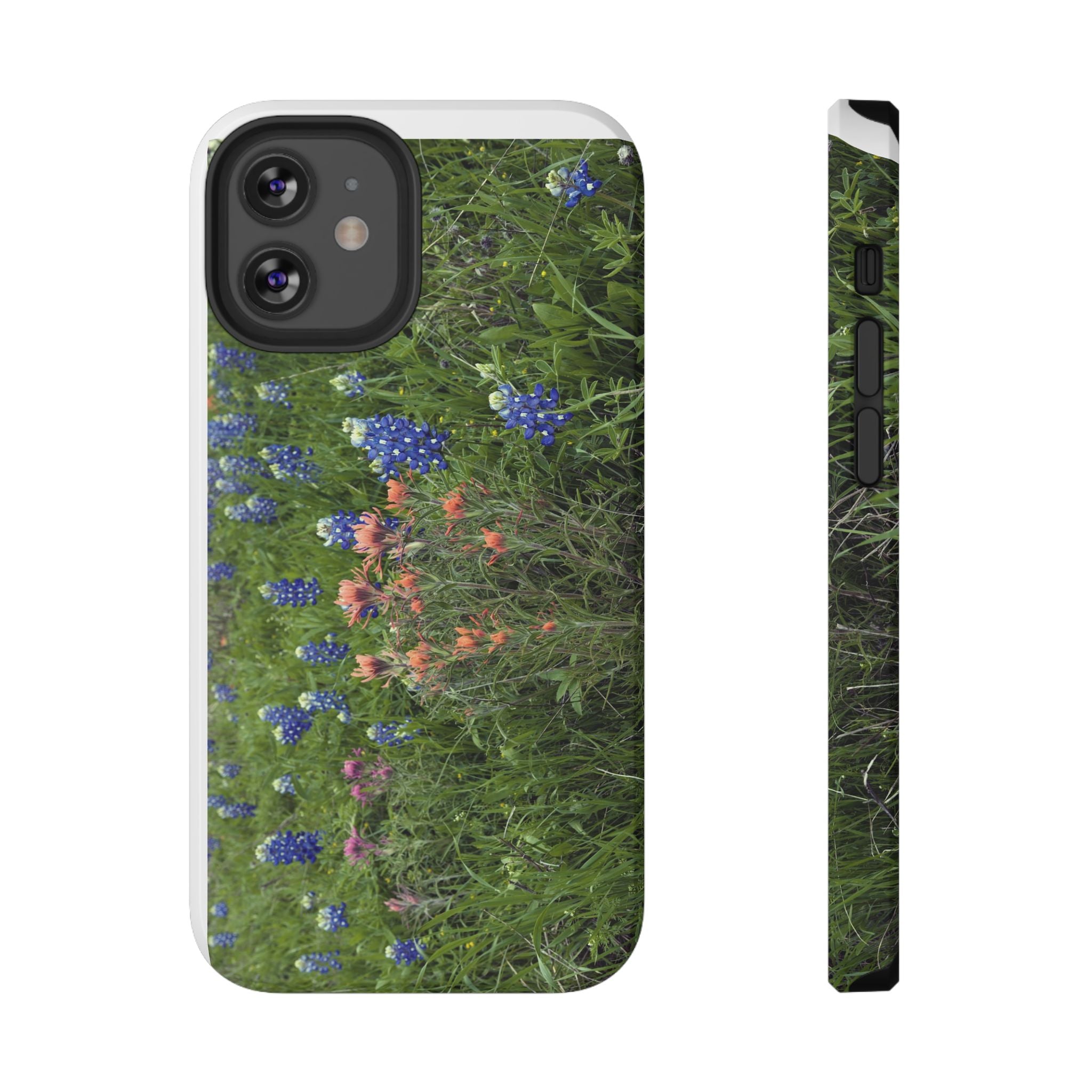 Texas Bluebonnets and Indian Paintbrushes