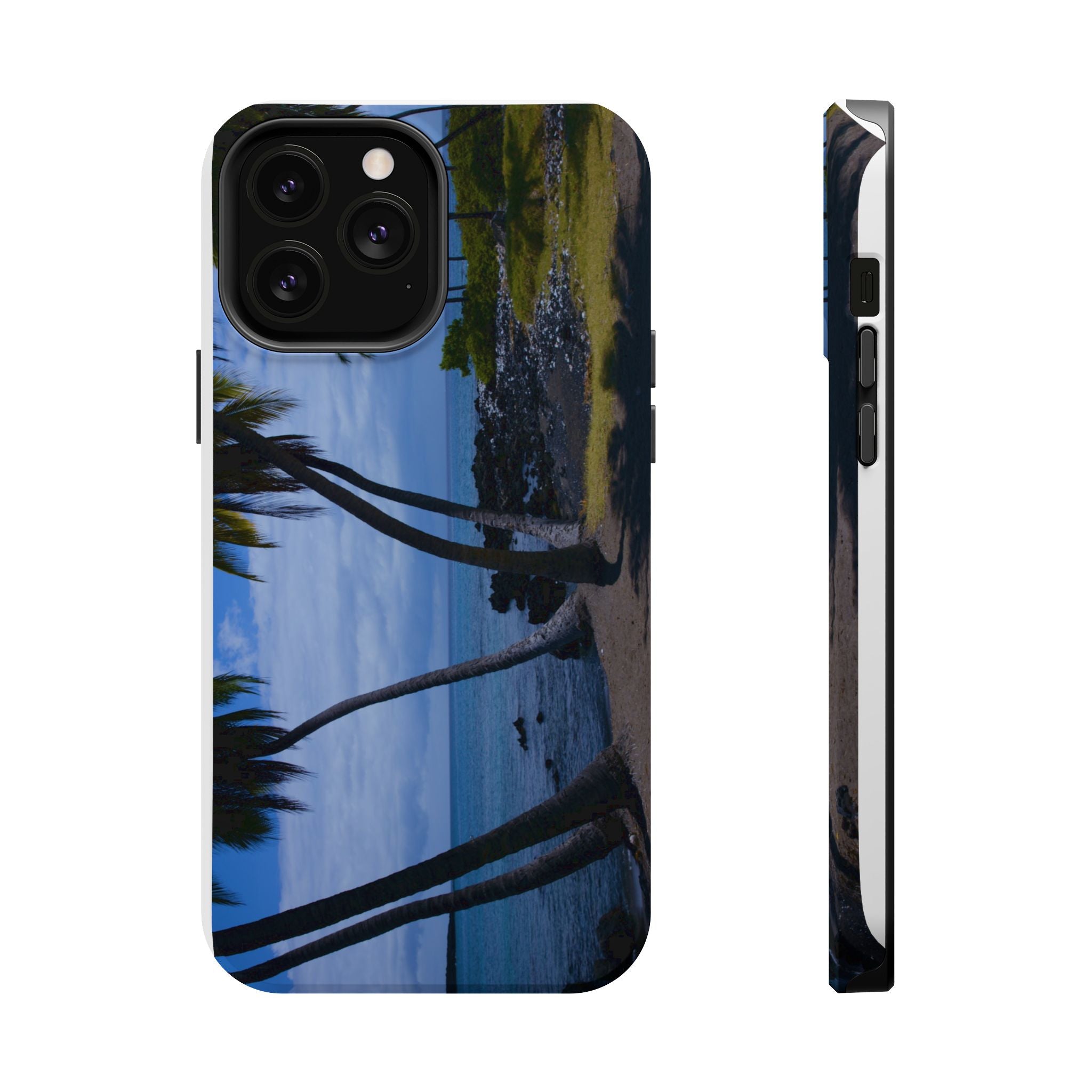 Hawaiian Beach and Palm Trees