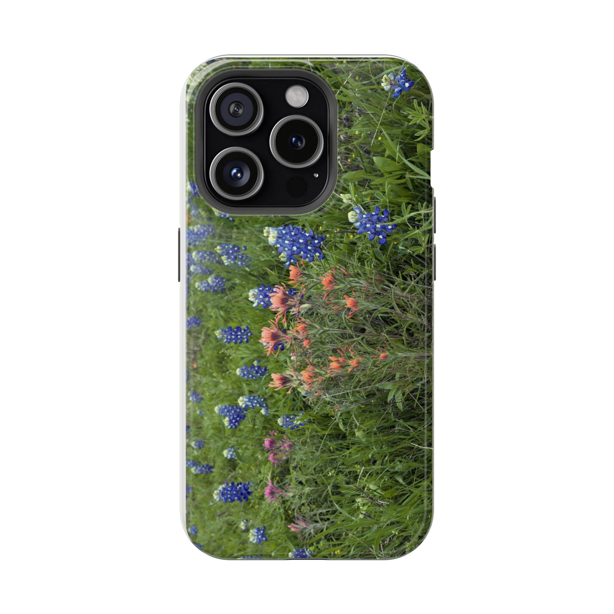 Texas Bluebonnets and Indian Paintbrushes