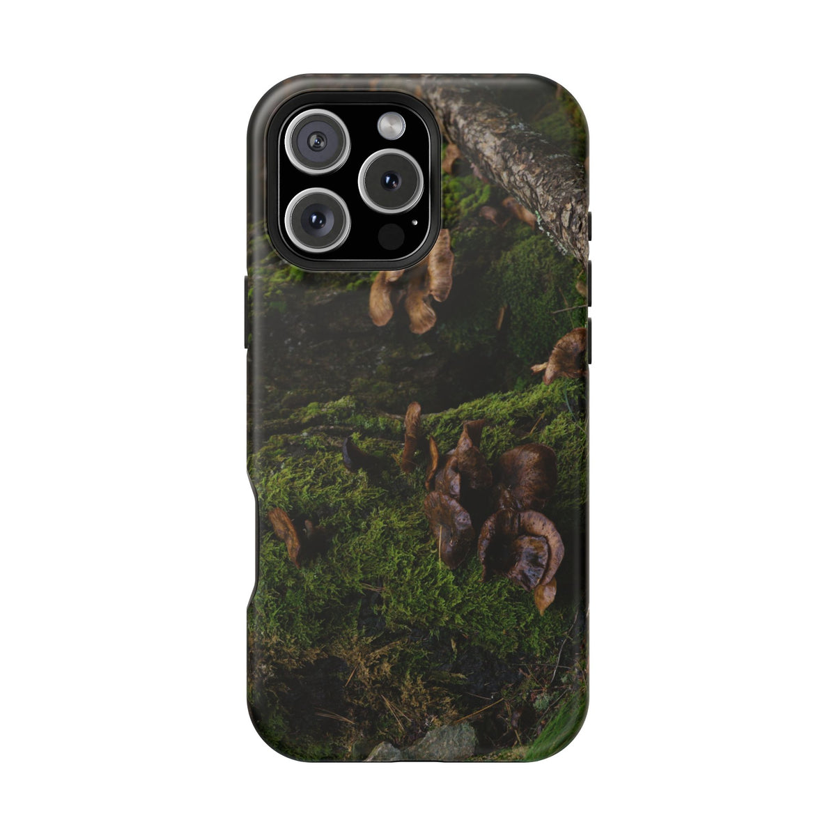 iPhone MagSafe Case | Acadia Forest Fungi | Acadia National Park | My Blu Horizon