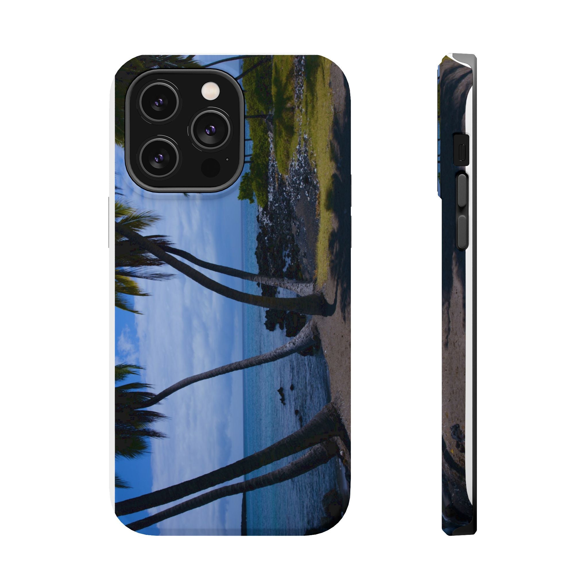 Hawaiian Beach and Palm Trees
