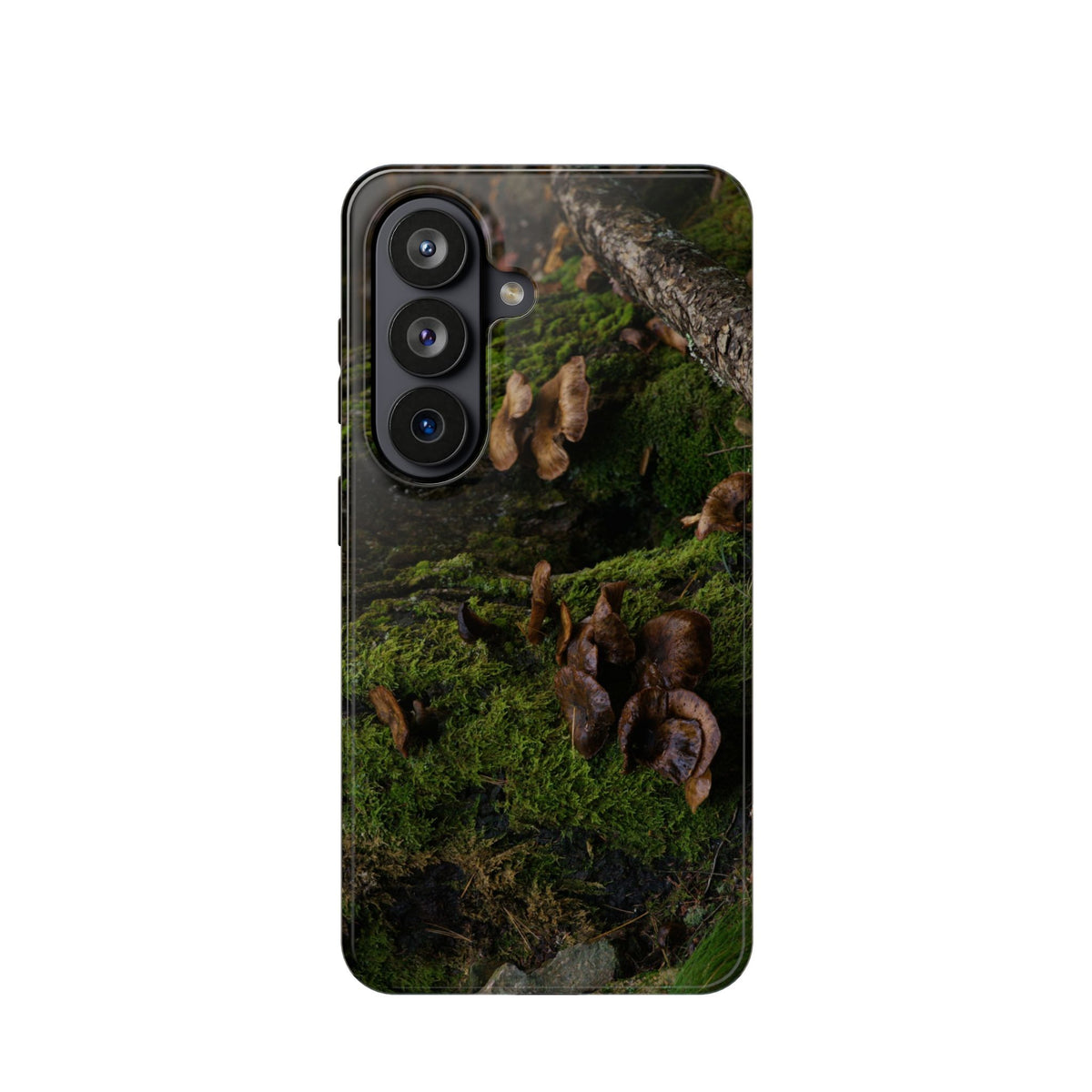 iPhone MagSafe Case | Acadia Forest Fungi | Acadia National Park | My Blu Horizon