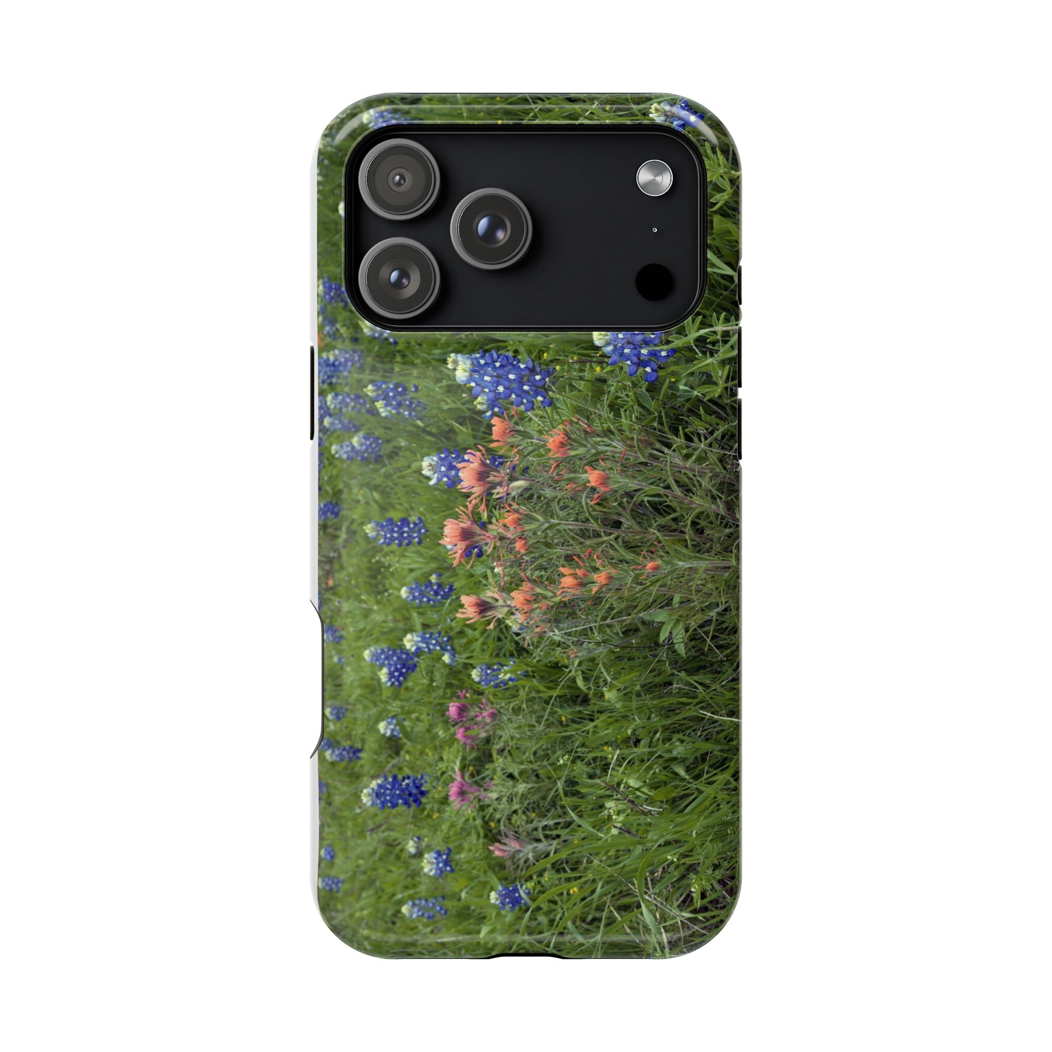 Texas Bluebonnets and Indian Paintbrushes