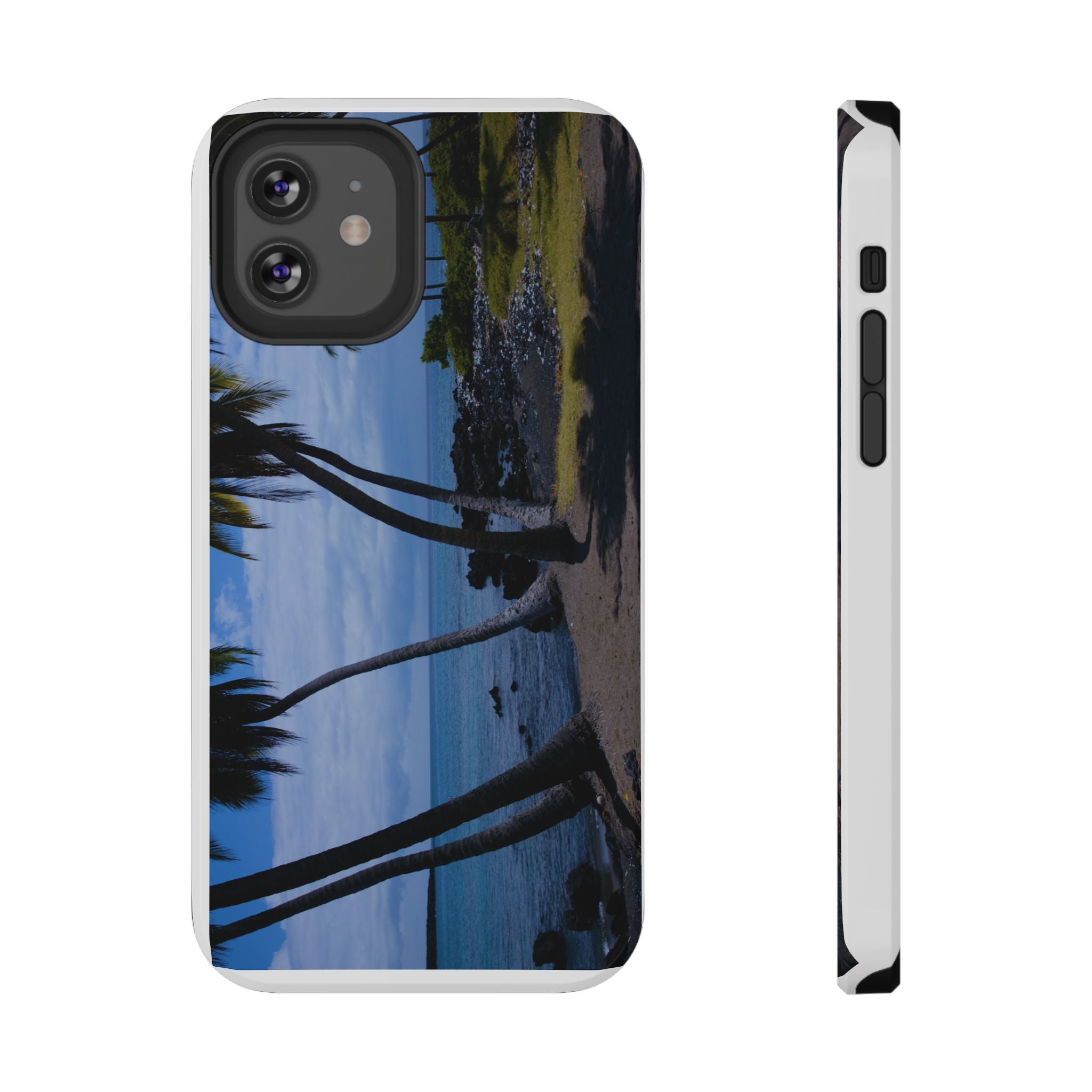 Hawaiian Beach and Palm Trees