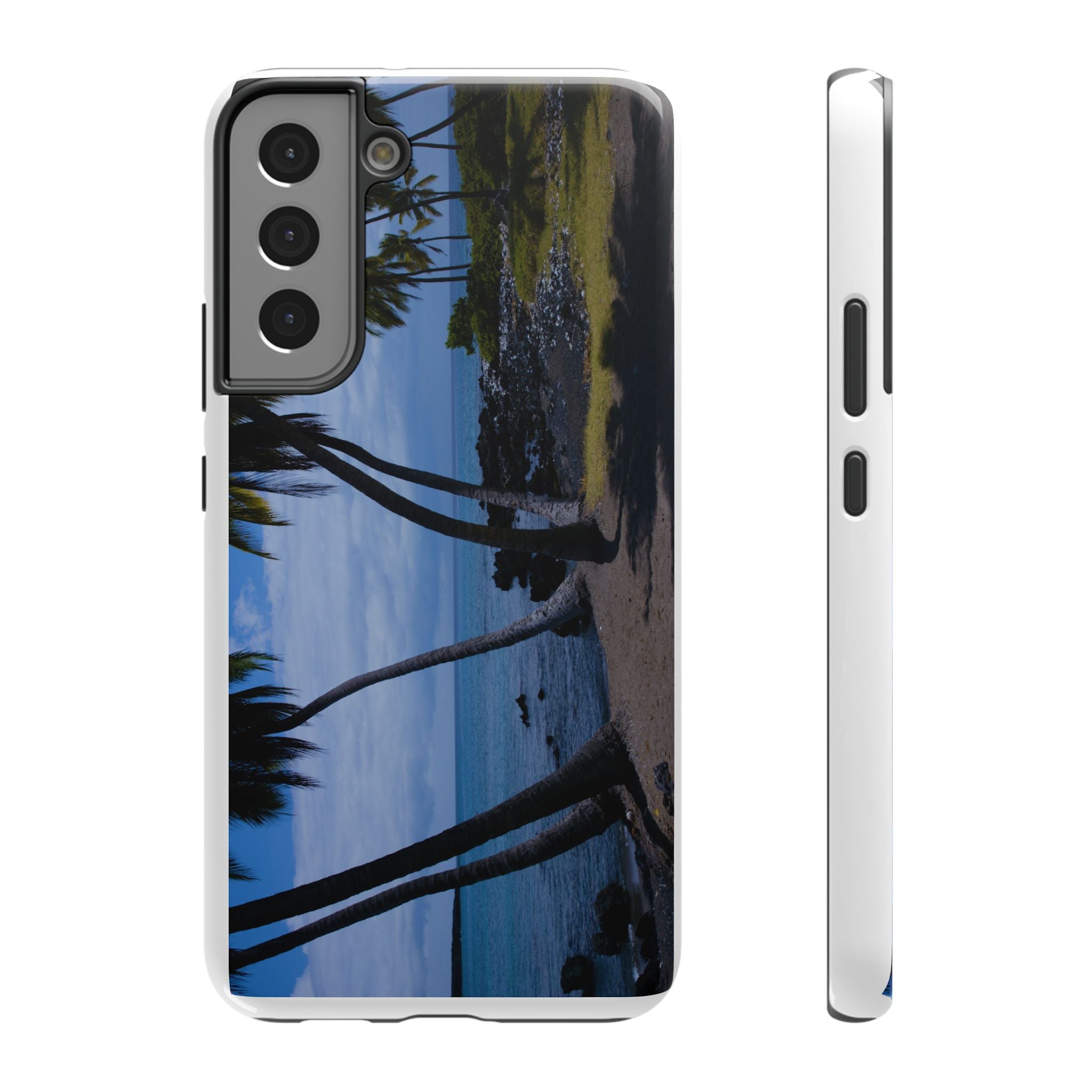 Hawaiian Beach and Palm Trees