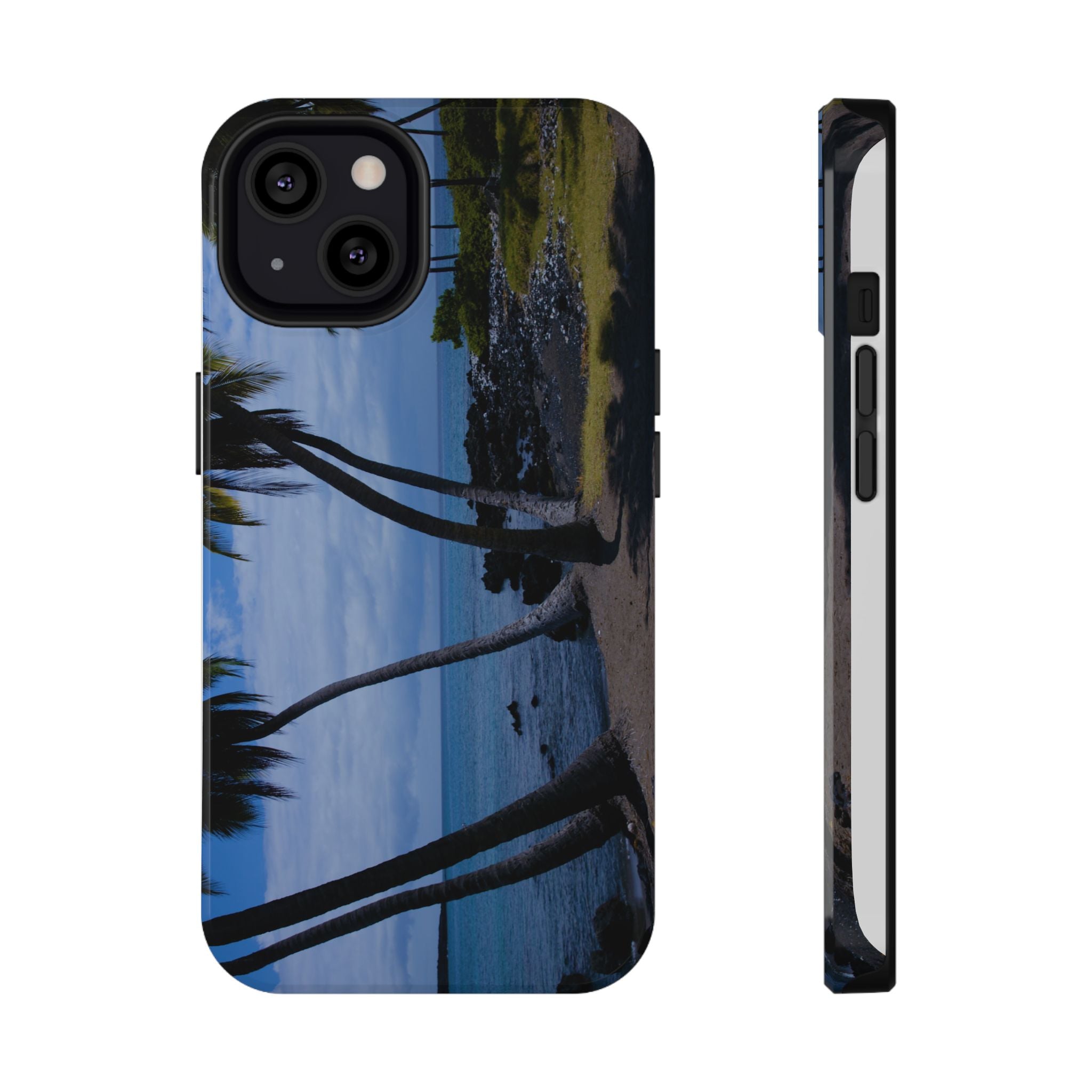 Hawaiian Beach and Palm Trees