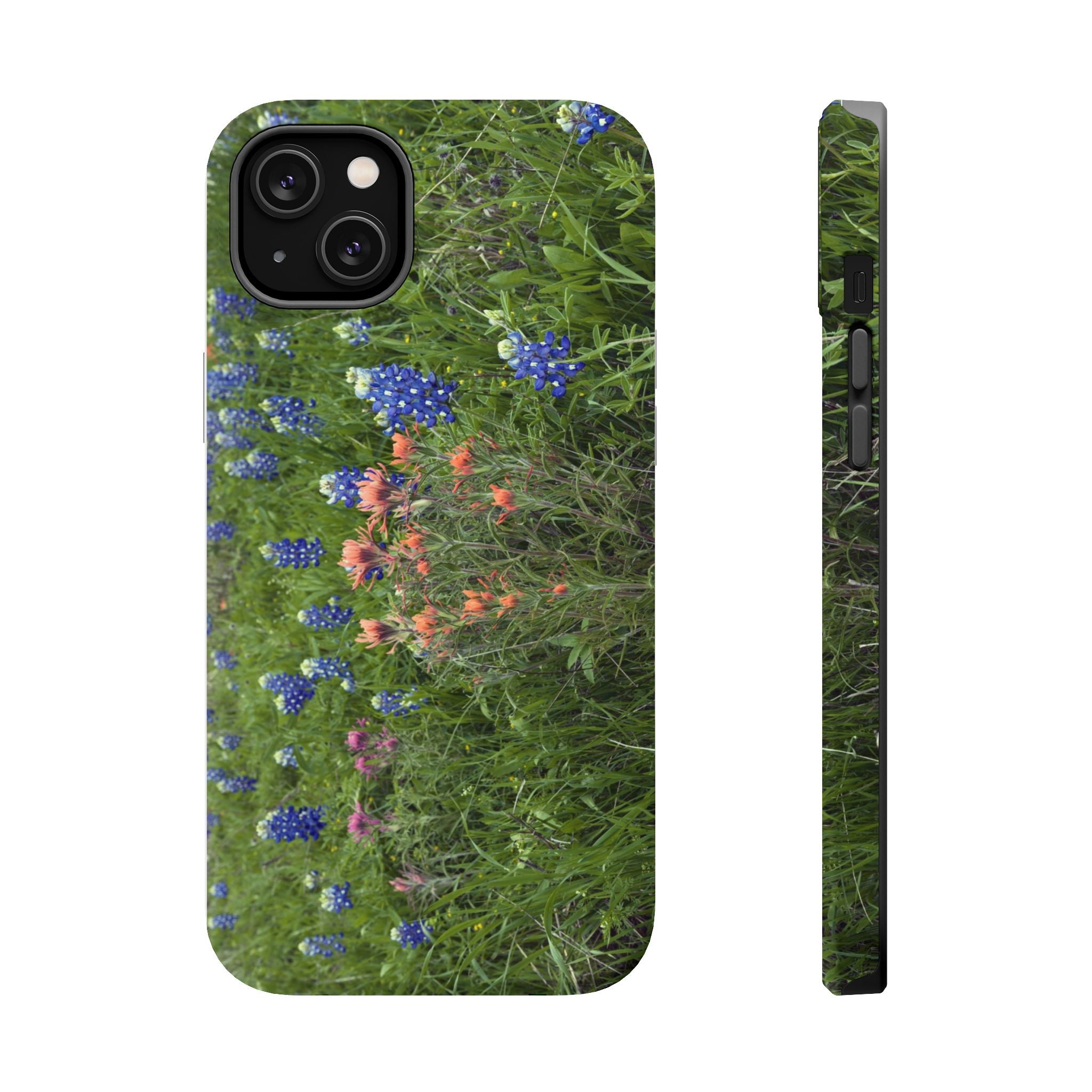 Texas Bluebonnets and Indian Paintbrushes