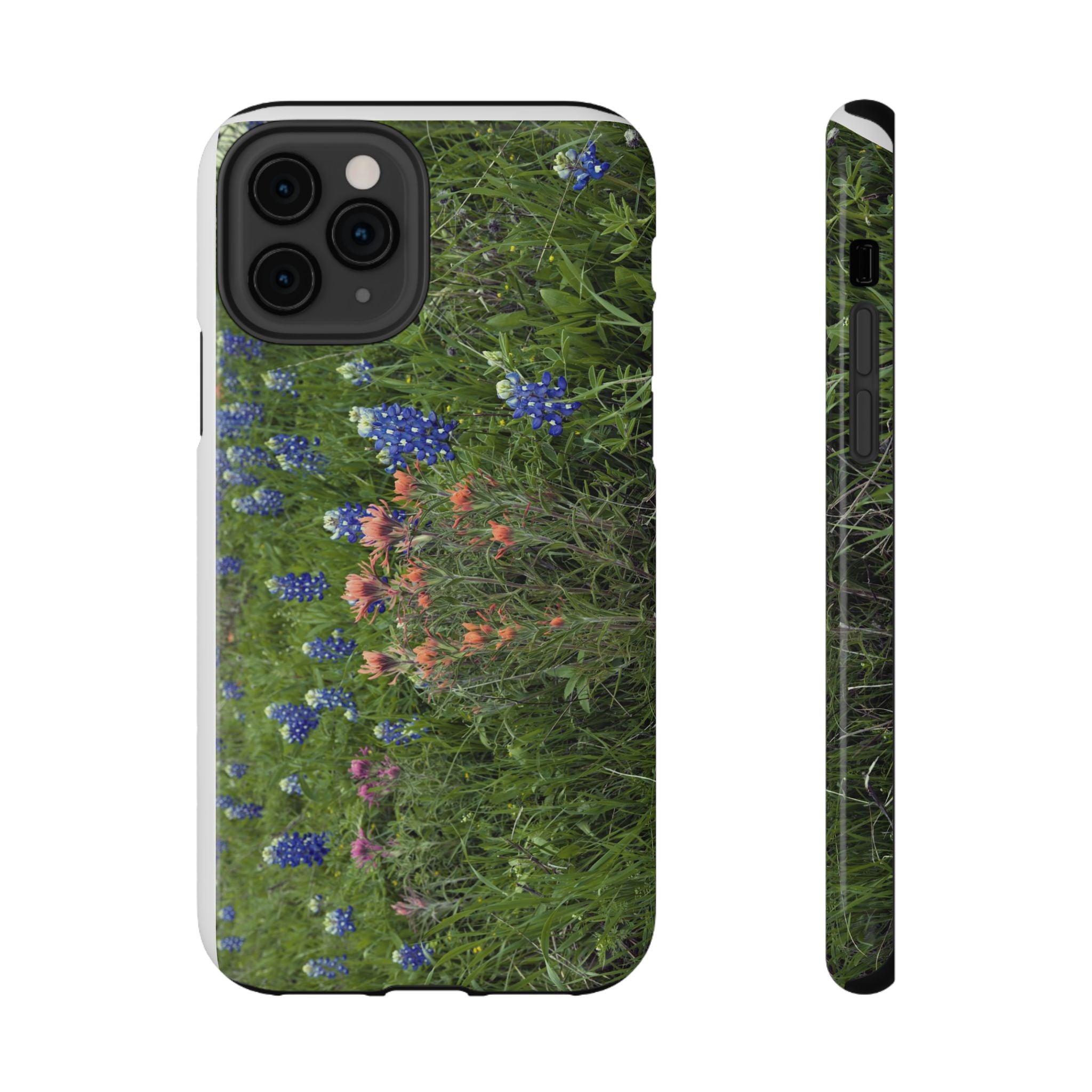 Texas Bluebonnets and Indian Paintbrushes