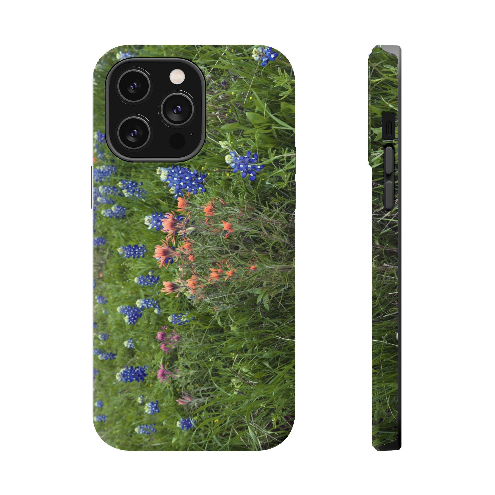 Texas Bluebonnets and Indian Paintbrushes