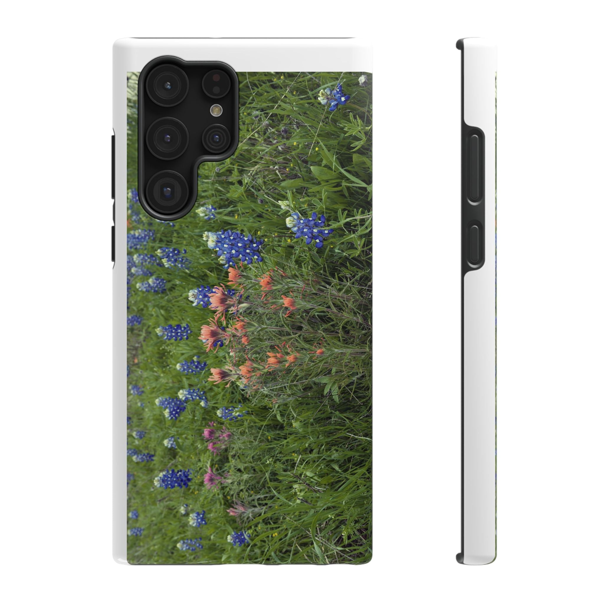 Texas Bluebonnets and Indian Paintbrushes