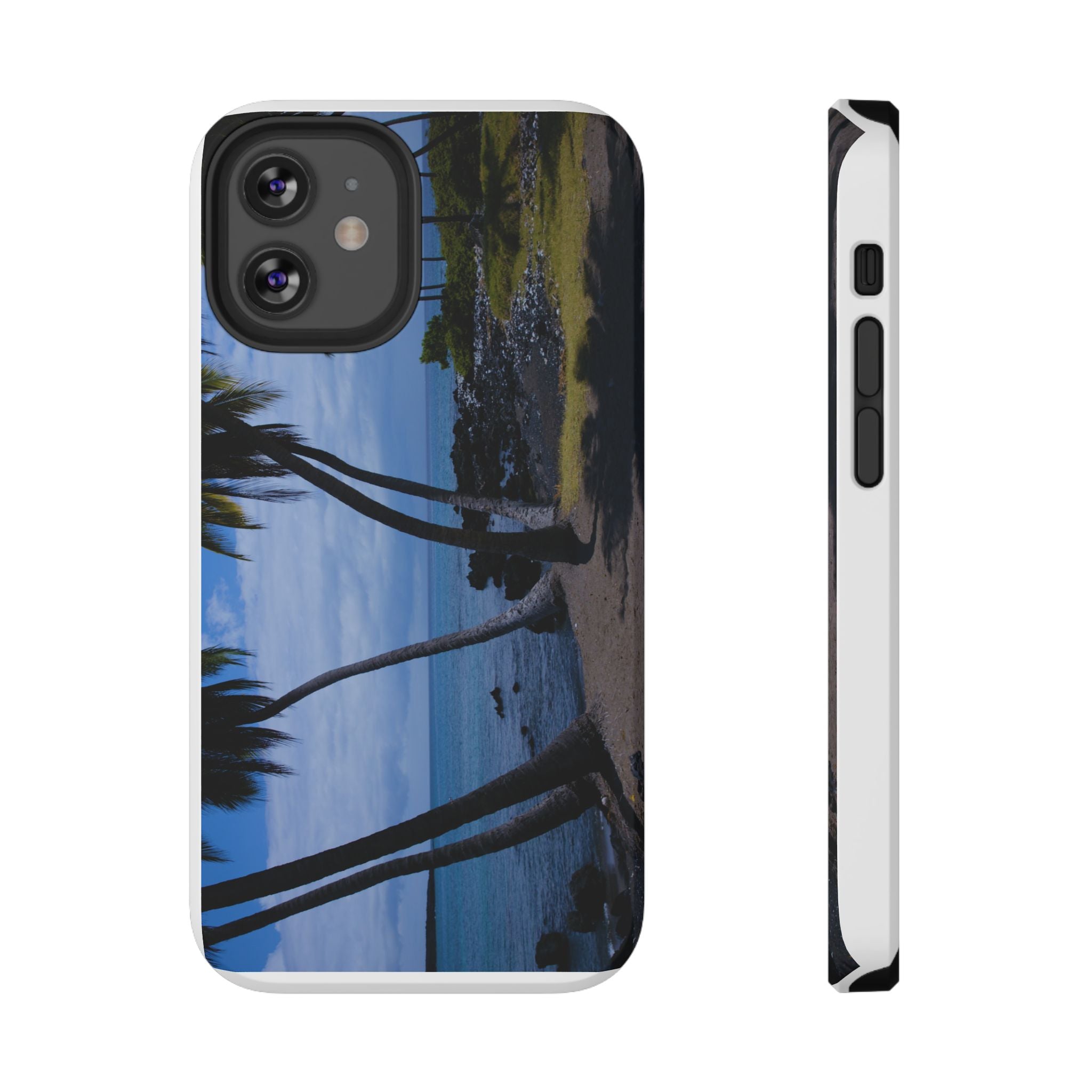 Hawaiian Beach and Palm Trees