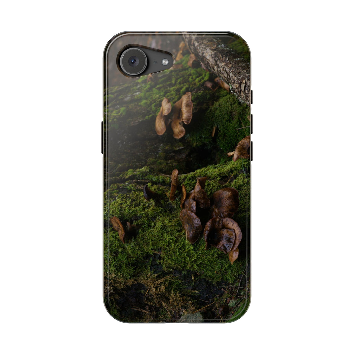 iPhone MagSafe Case | Acadia Forest Fungi | Acadia National Park | My Blu Horizon