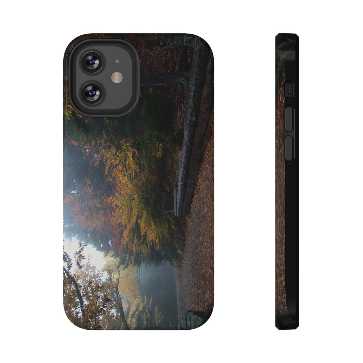 Phone Case | Waterfall Bridge Carriage Road | Acadia | My Blu Horizon