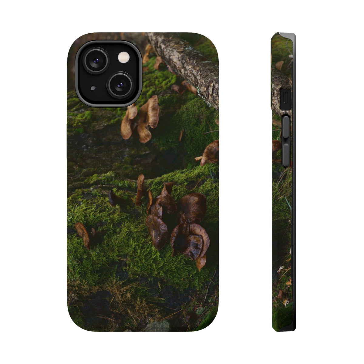 iPhone MagSafe Case | Acadia Forest Fungi | Acadia National Park | My Blu Horizon