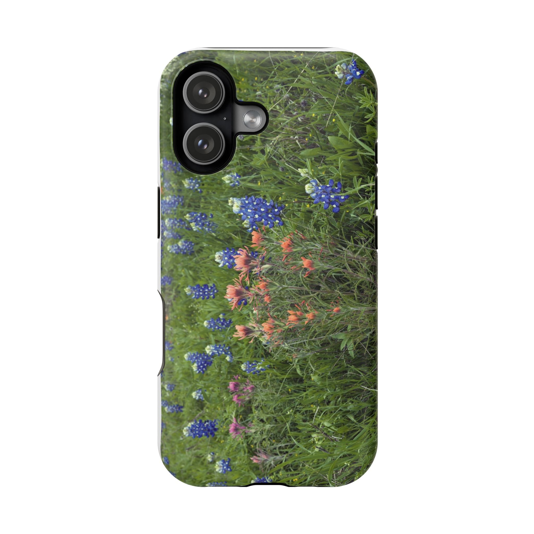 Texas Bluebonnets and Indian Paintbrushes
