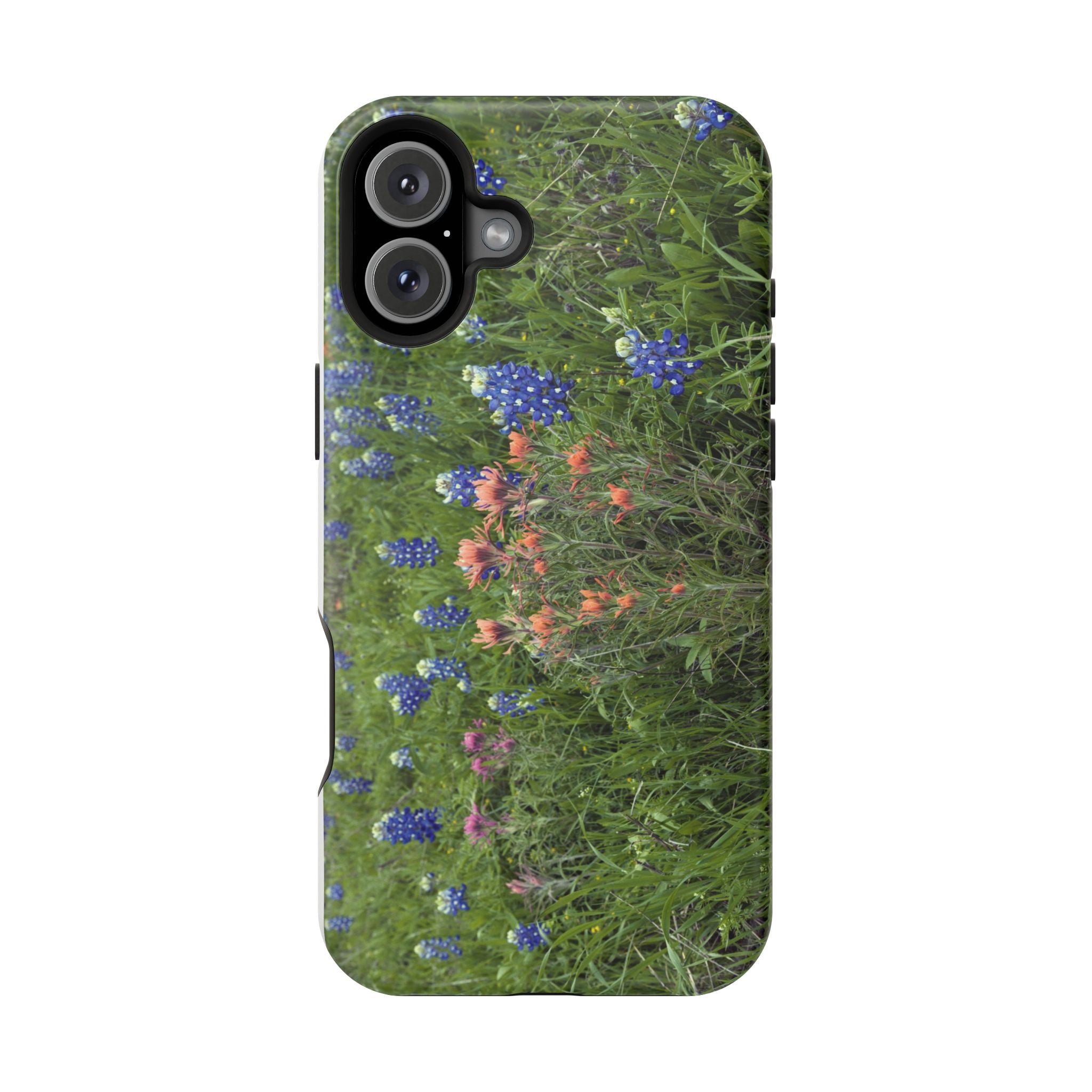 Texas Bluebonnets and Indian Paintbrushes