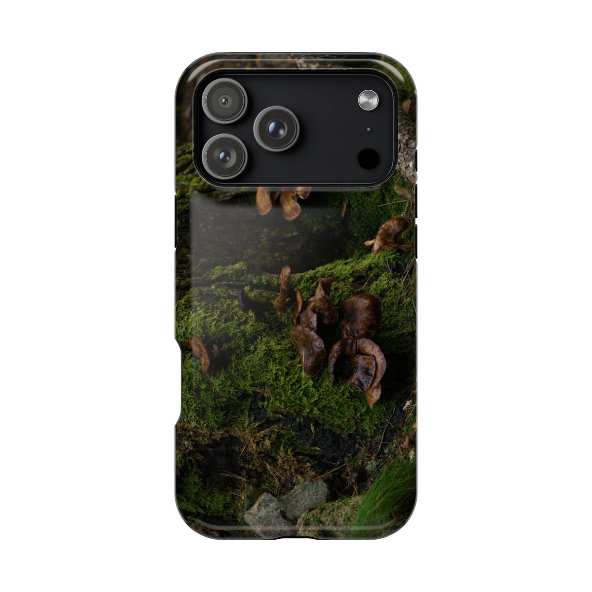 Phone Case | Acadia Forest Fungi |  Acadia National Park | My Blu Horizon