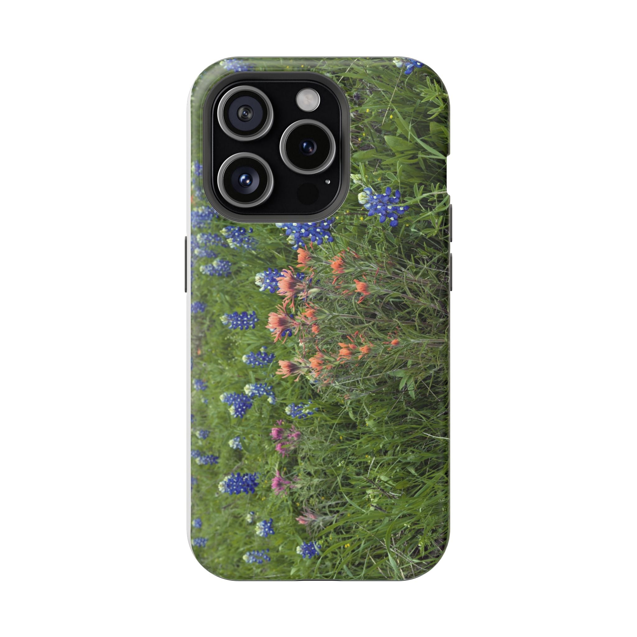 Texas Bluebonnets and Indian Paintbrushes