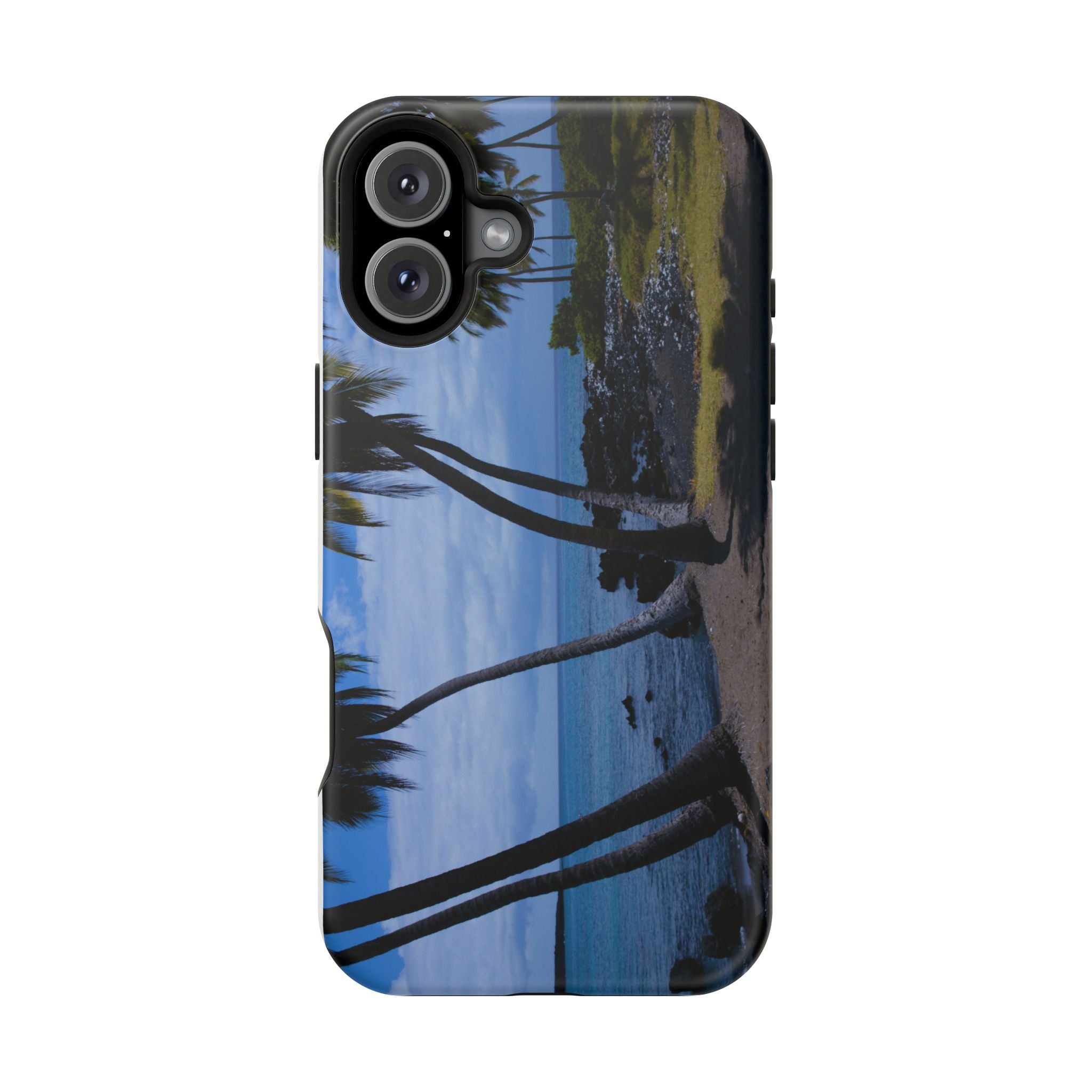 Hawaiian Beach and Palm Trees