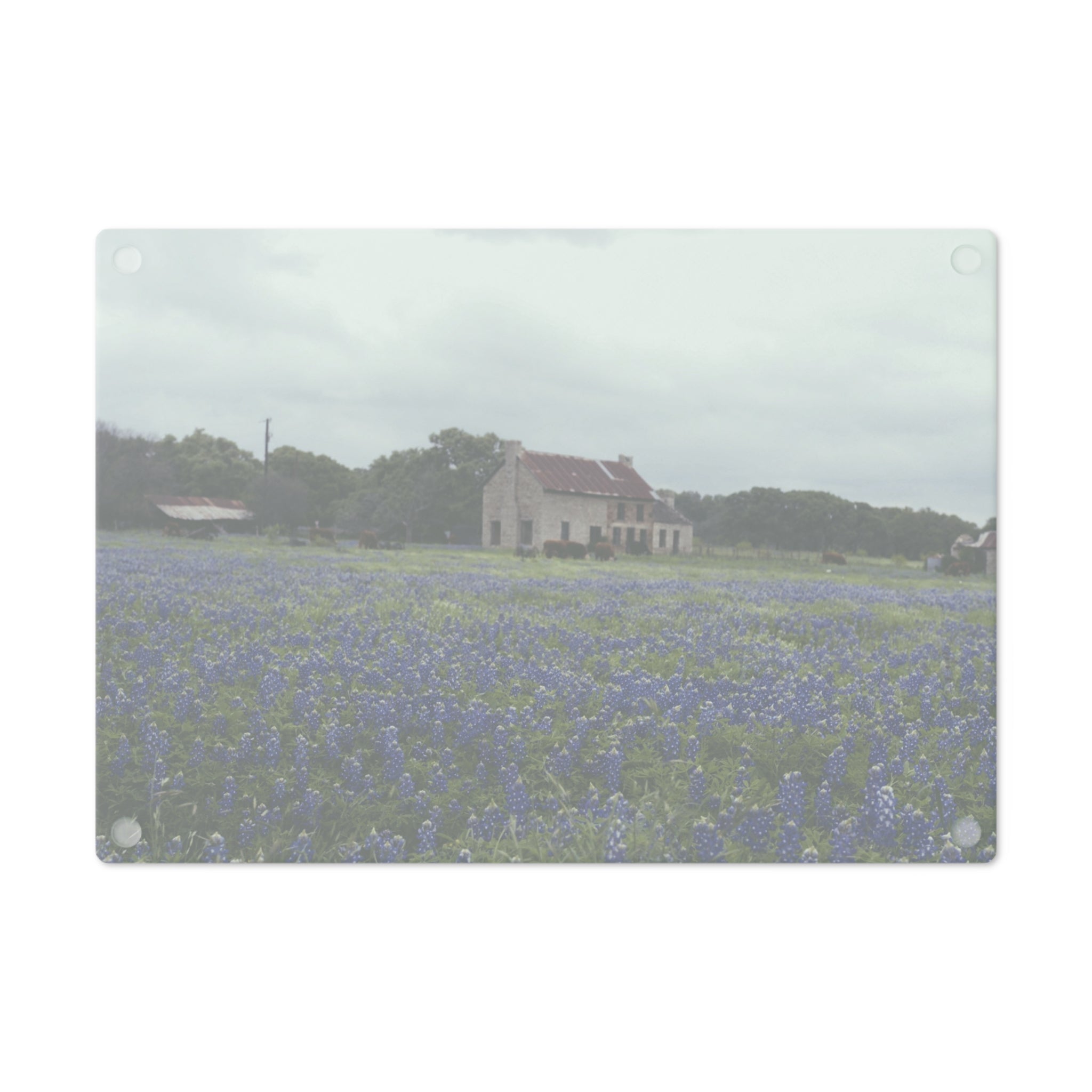 Tempered Glass Cutting Board - Texas Bluebonnets, Marble Falls House- My Blu Horizon