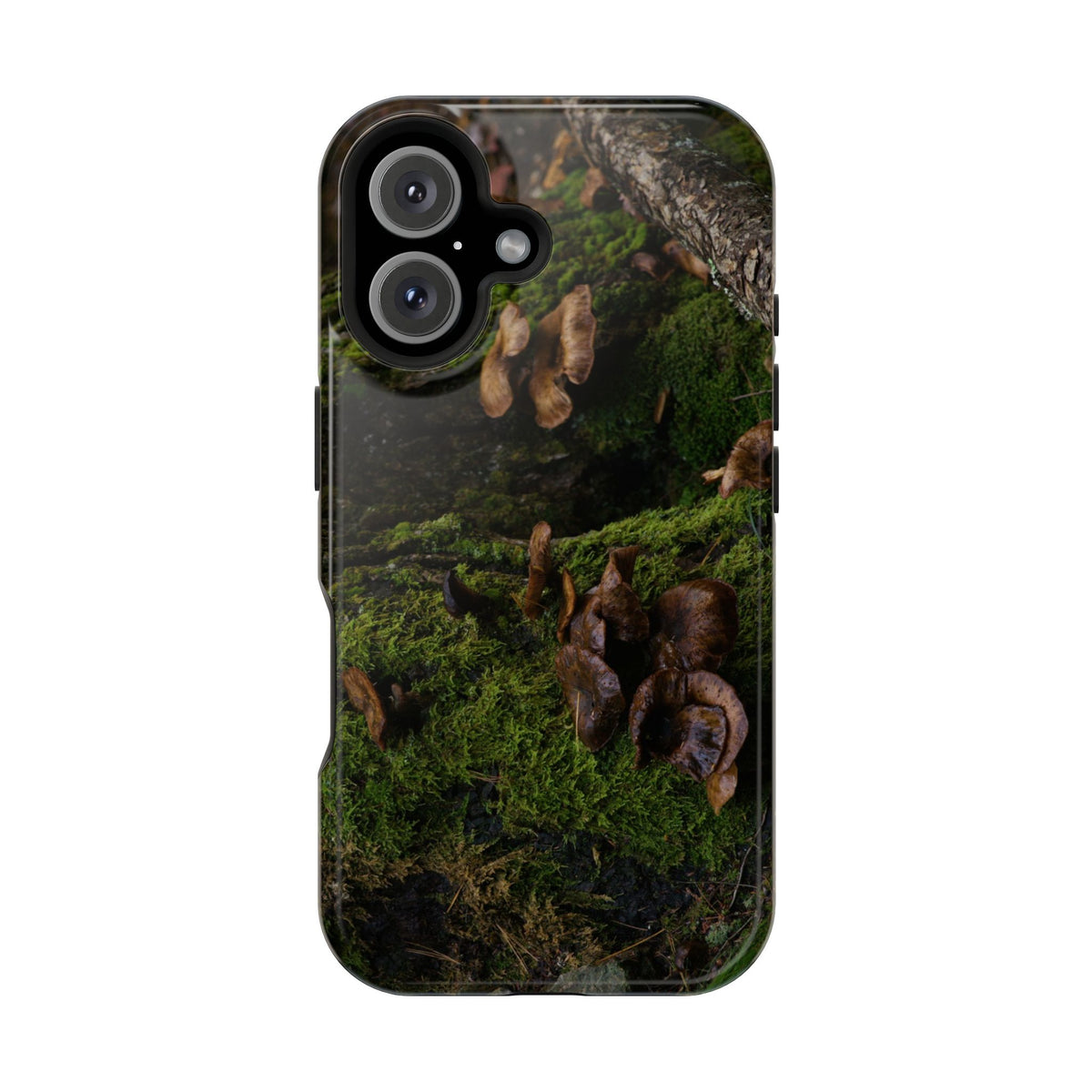 iPhone MagSafe Case | Acadia Forest Fungi | Acadia National Park | My Blu Horizon