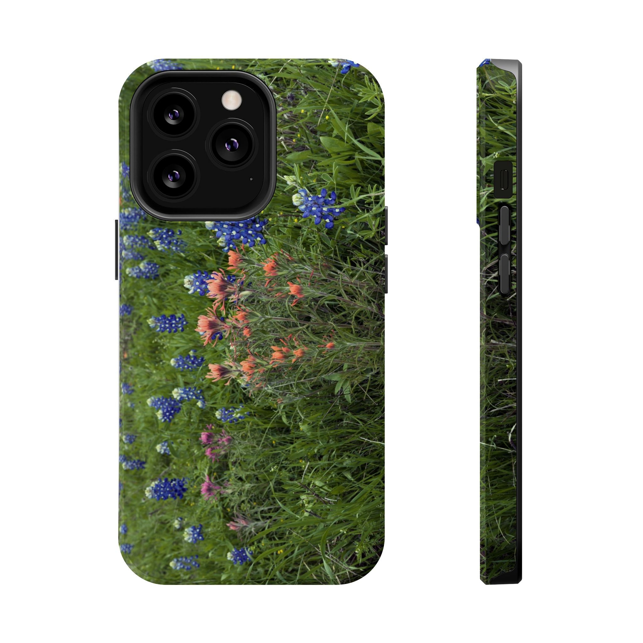 Texas Bluebonnets and Indian Paintbrushes